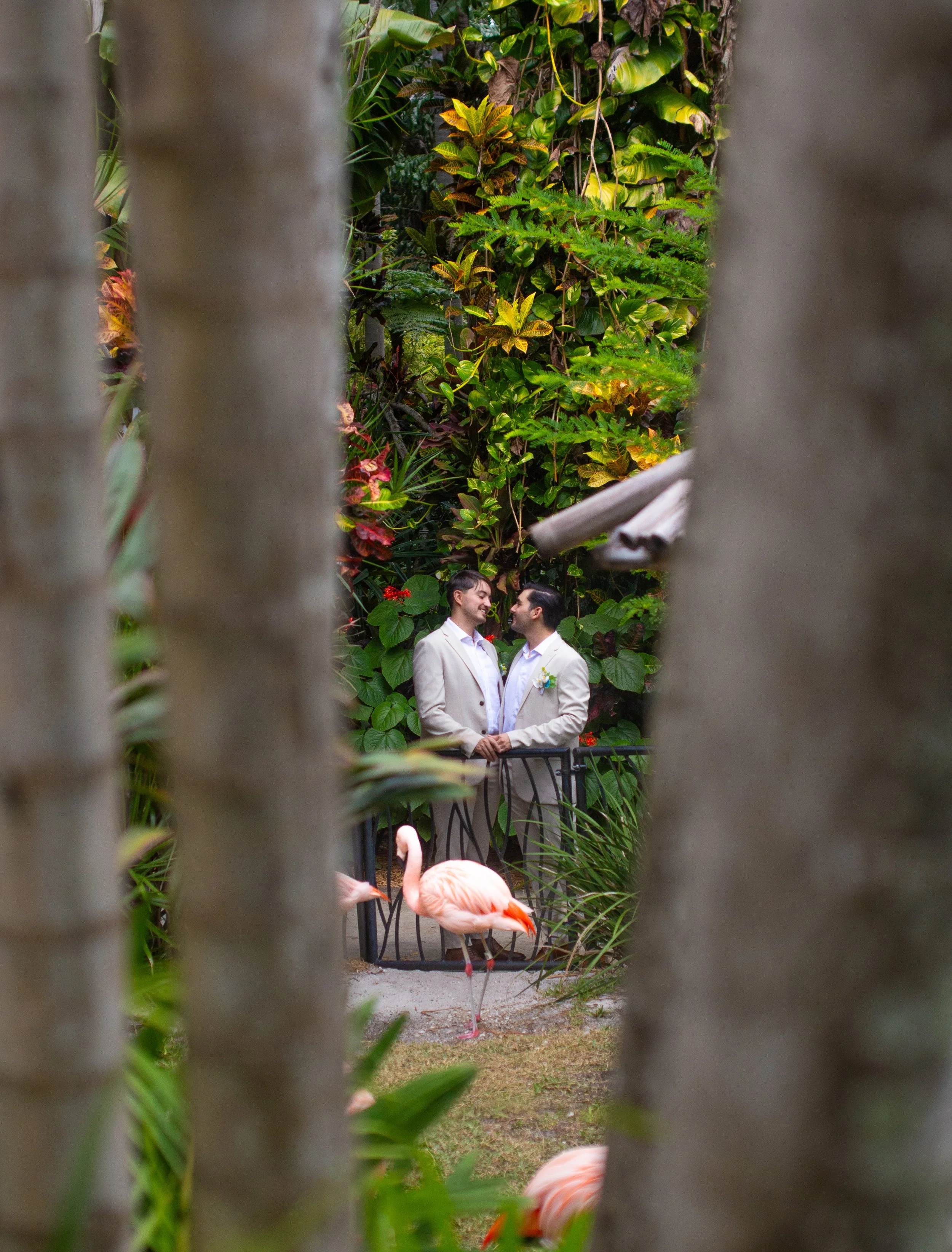 timeless-gay-wedding-portraits-florida-botanical-garden.jpg