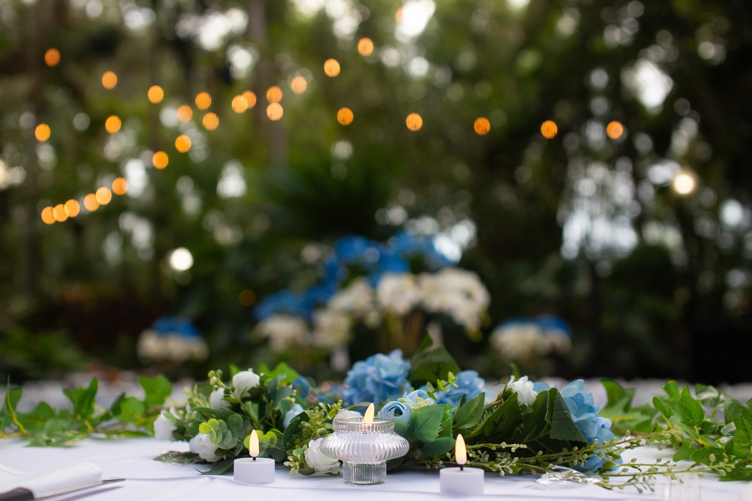 sunset-reception-florida-botanical-garden-gay-wedding.jpg