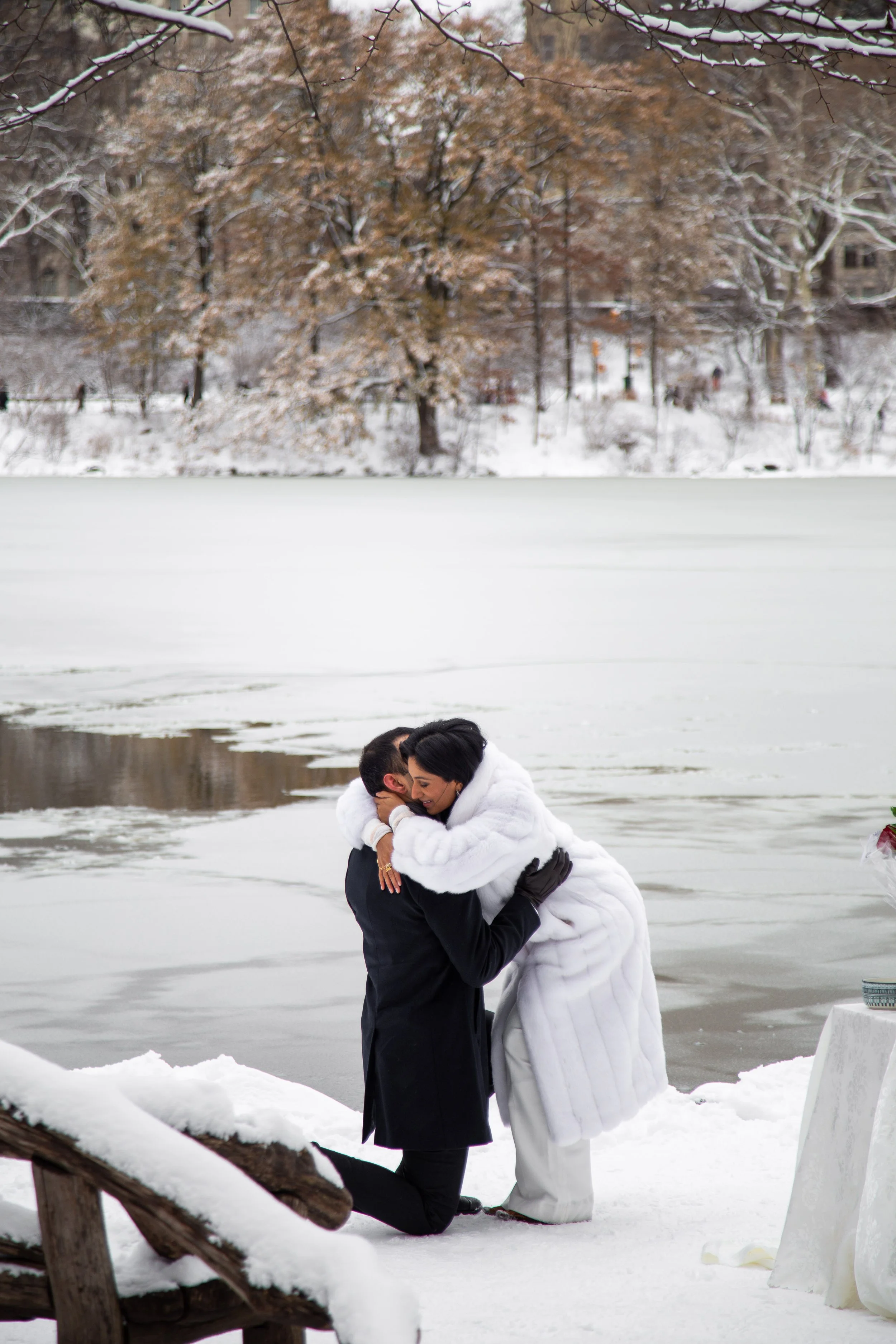 magical-central-park-proposal-nyc-winter.jpg