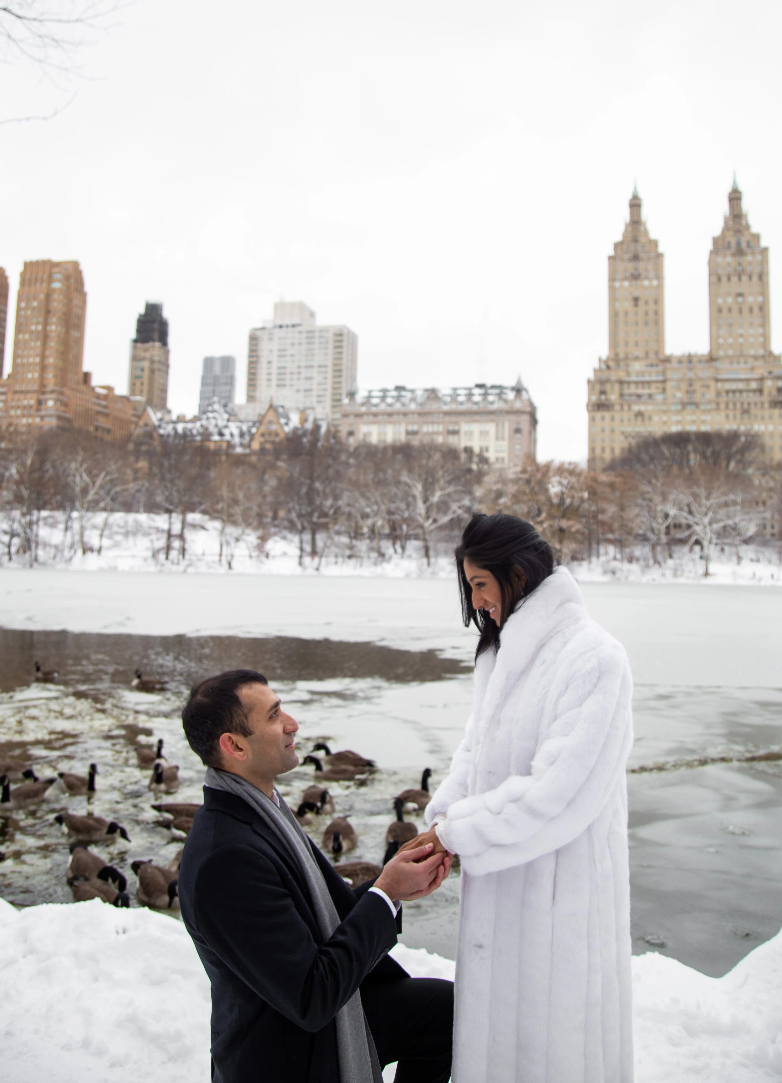 magical-central-park-snowy-proposal-nyc.jpg