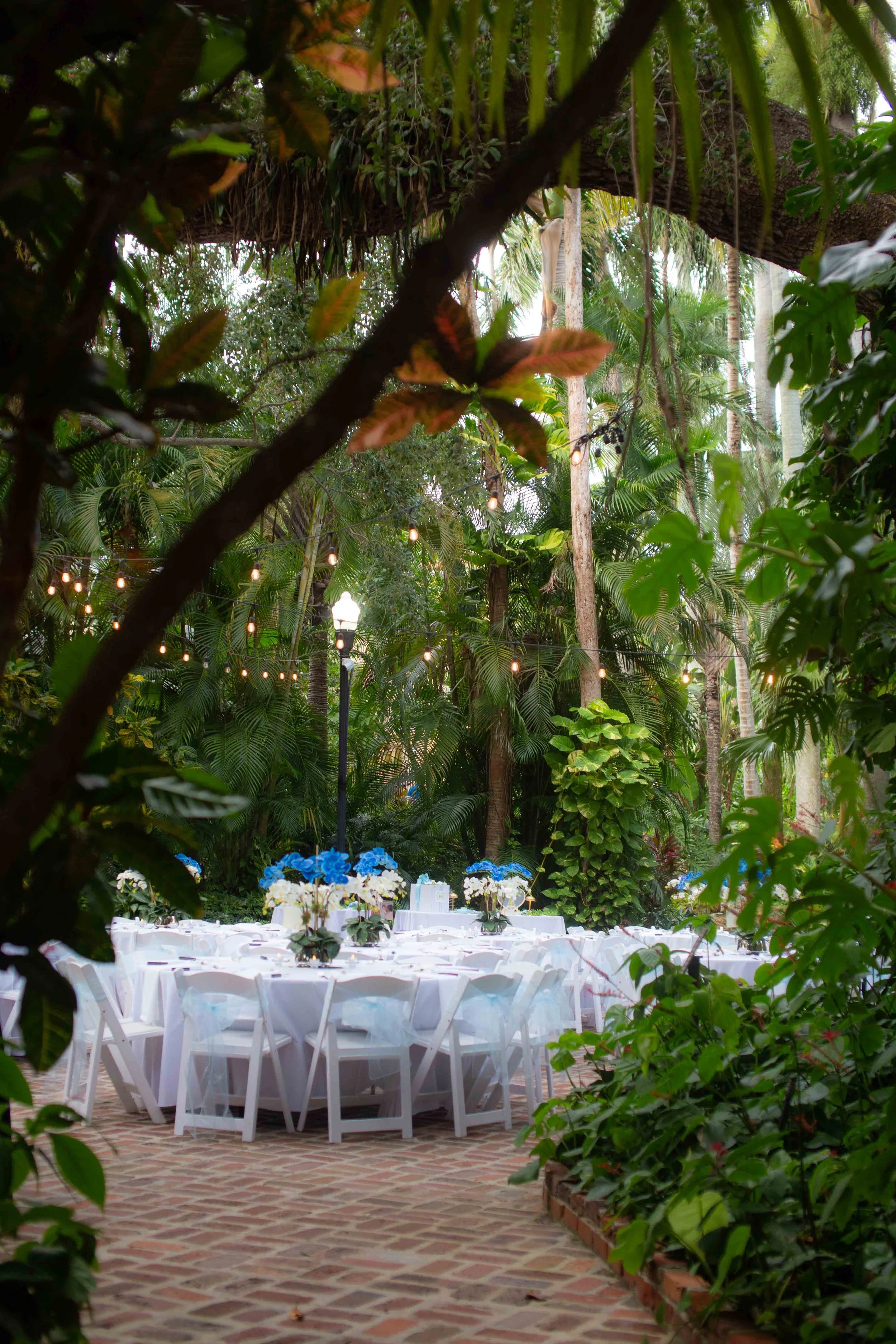 A decorated outdoor event space with white tables and chairs, blue floral centerpieces, string lights, surrounded by lush green tropical plants and trees.