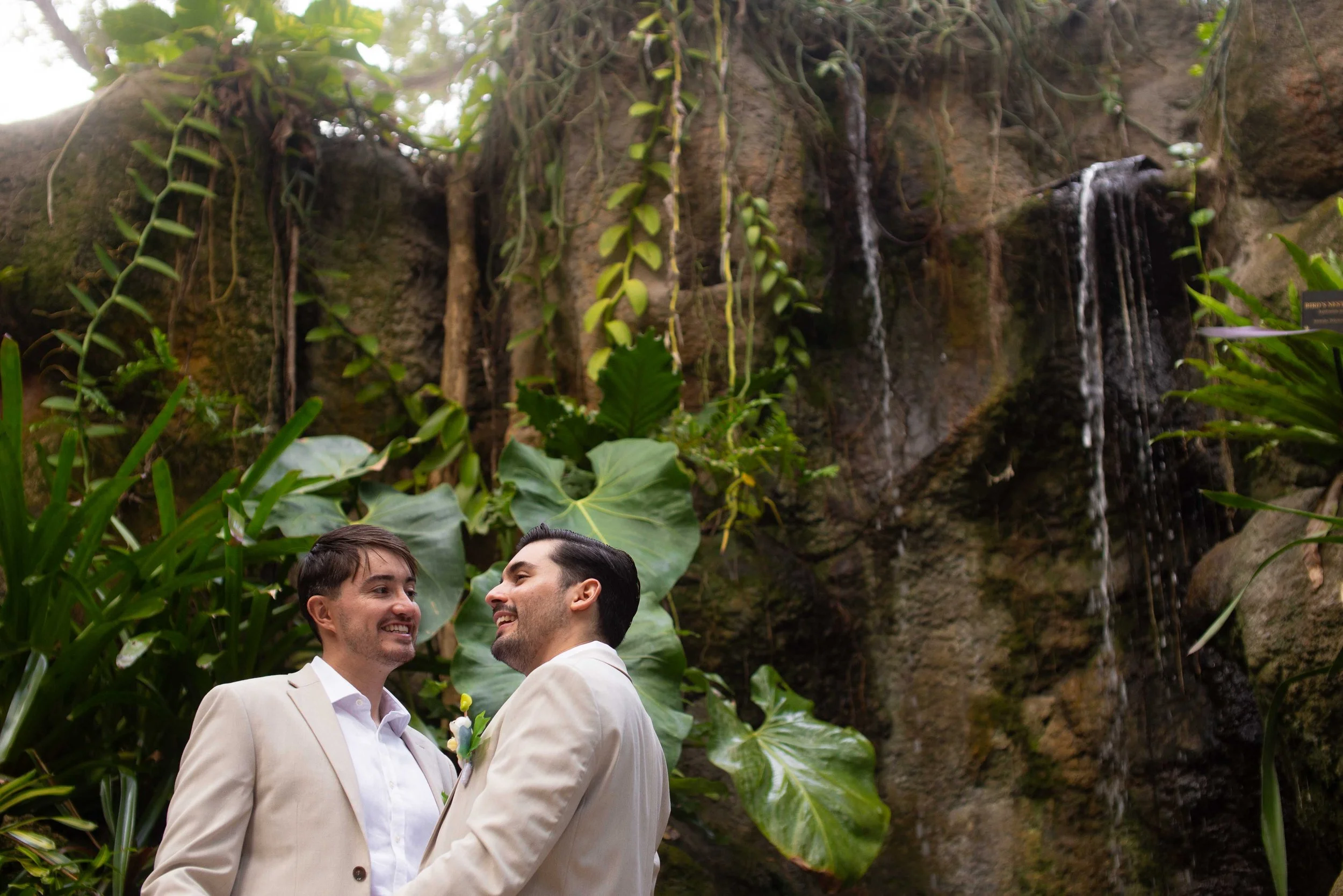 Two men in beige suits celebrating their wedding in front of a lush jungle waterfall.