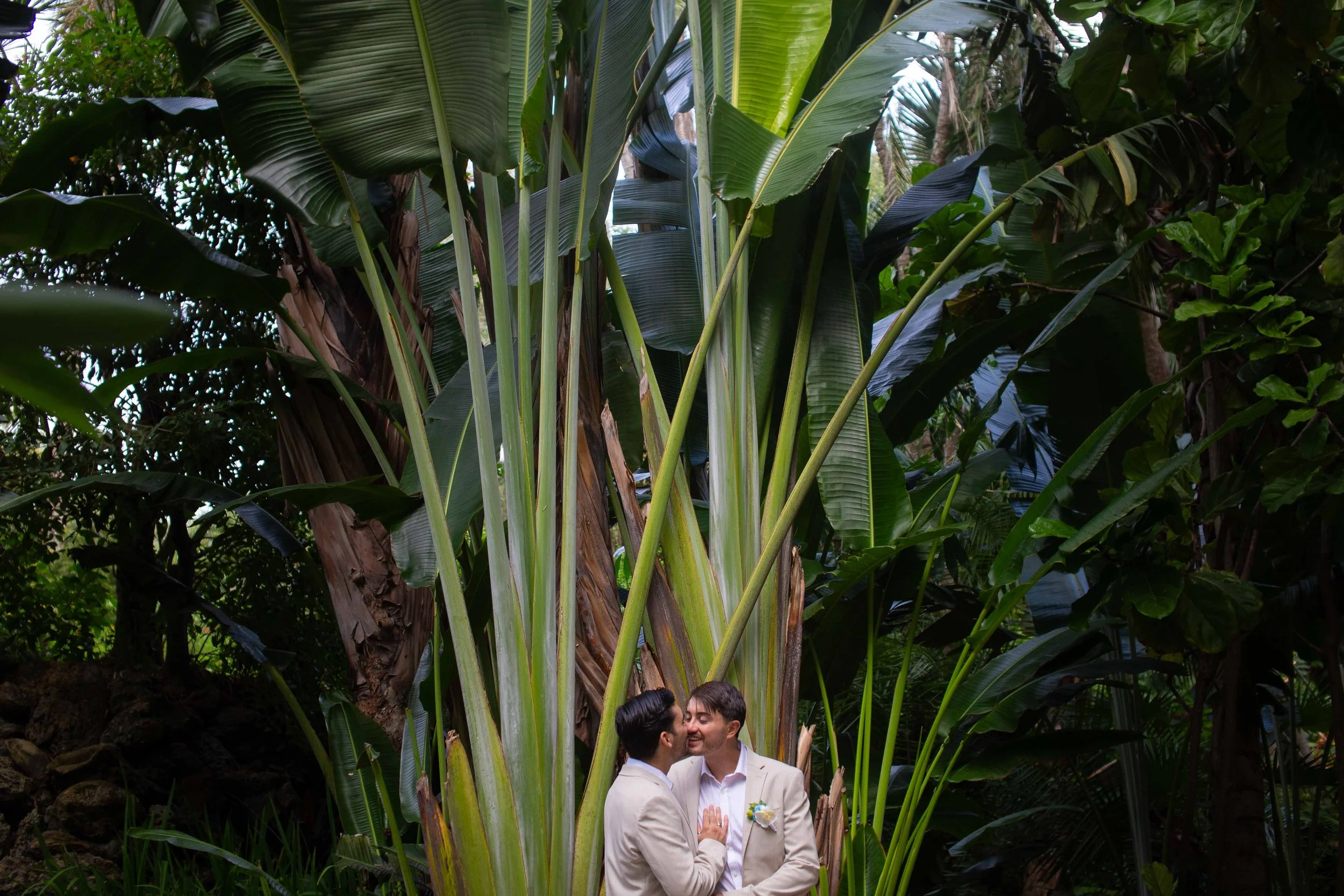 Two men dressed in suits, one with a boutonniere, standing close and smiling in front of large green tropical plants in a lush outdoor setting.