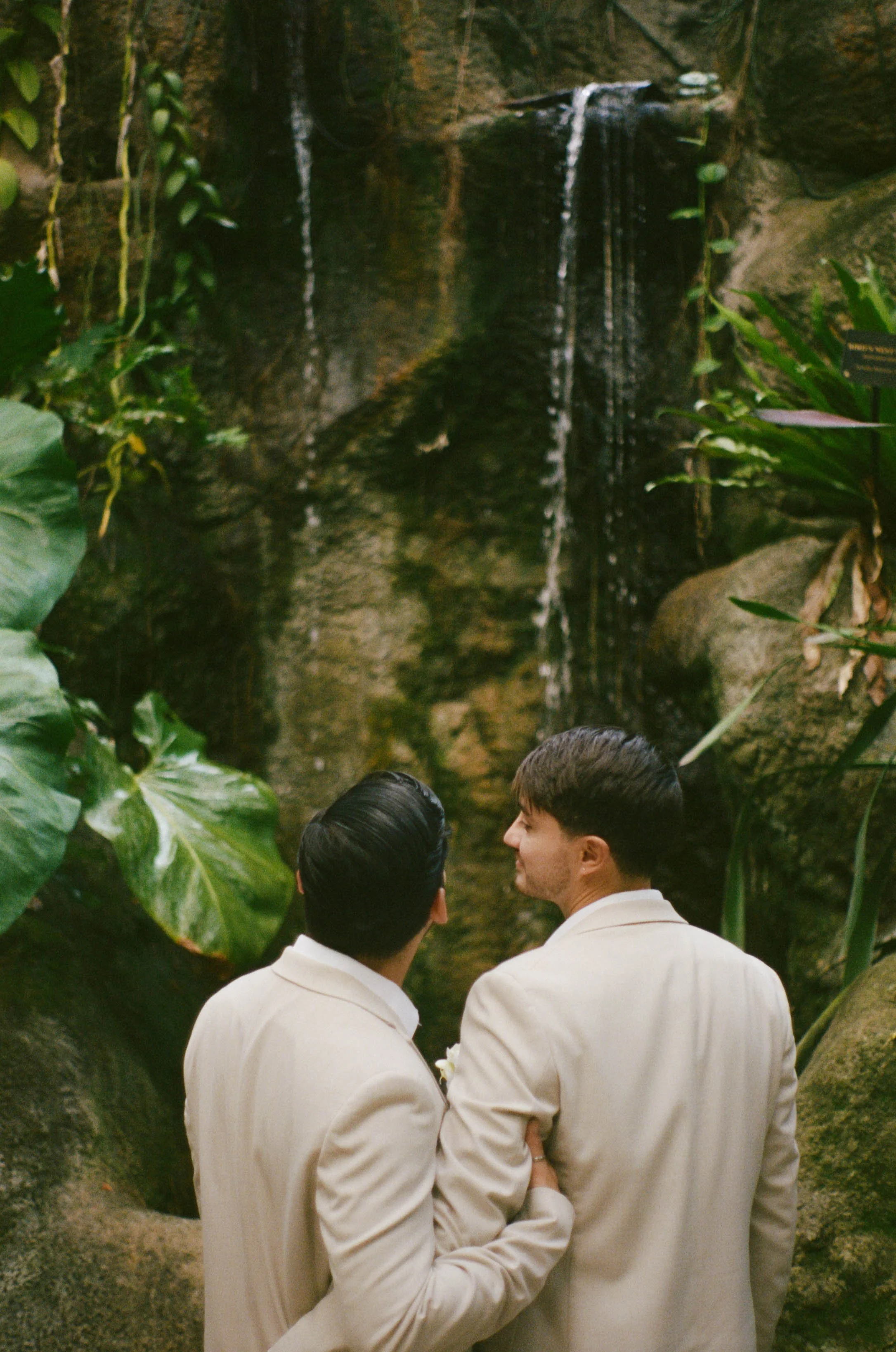 Two men in beige suits watch a waterfall surrounded by greenery.
