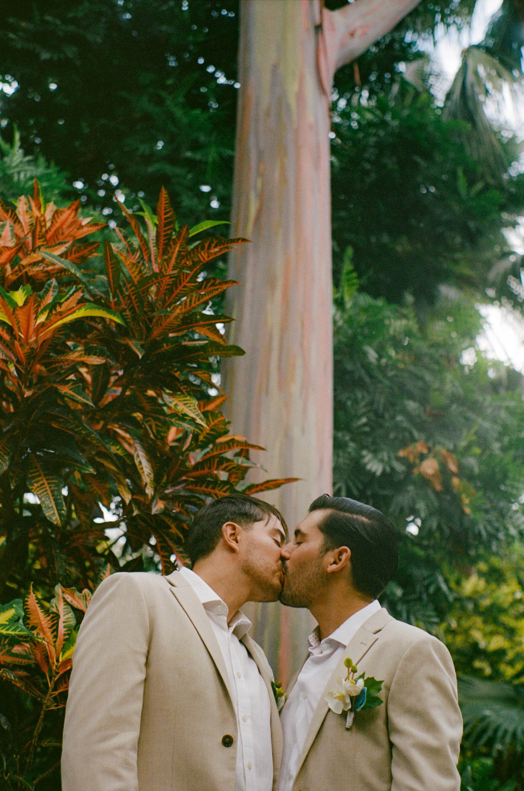 Two men in beige suits sharing a kiss outdoors surrounded by lush green plants.
