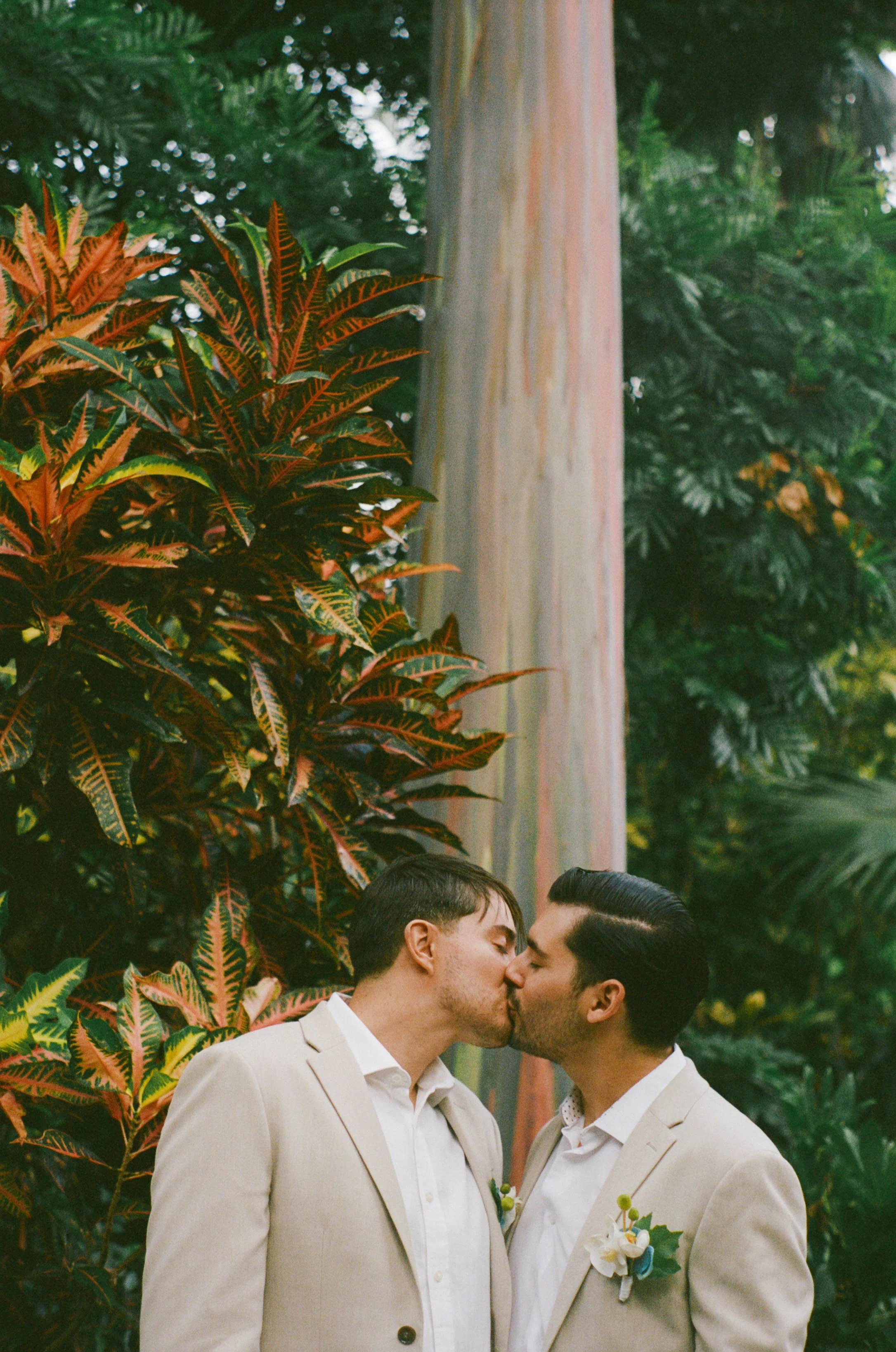 Two men in cream-colored suits sharing a kiss during a wedding ceremony outdoors surrounded by lush tropical plants.