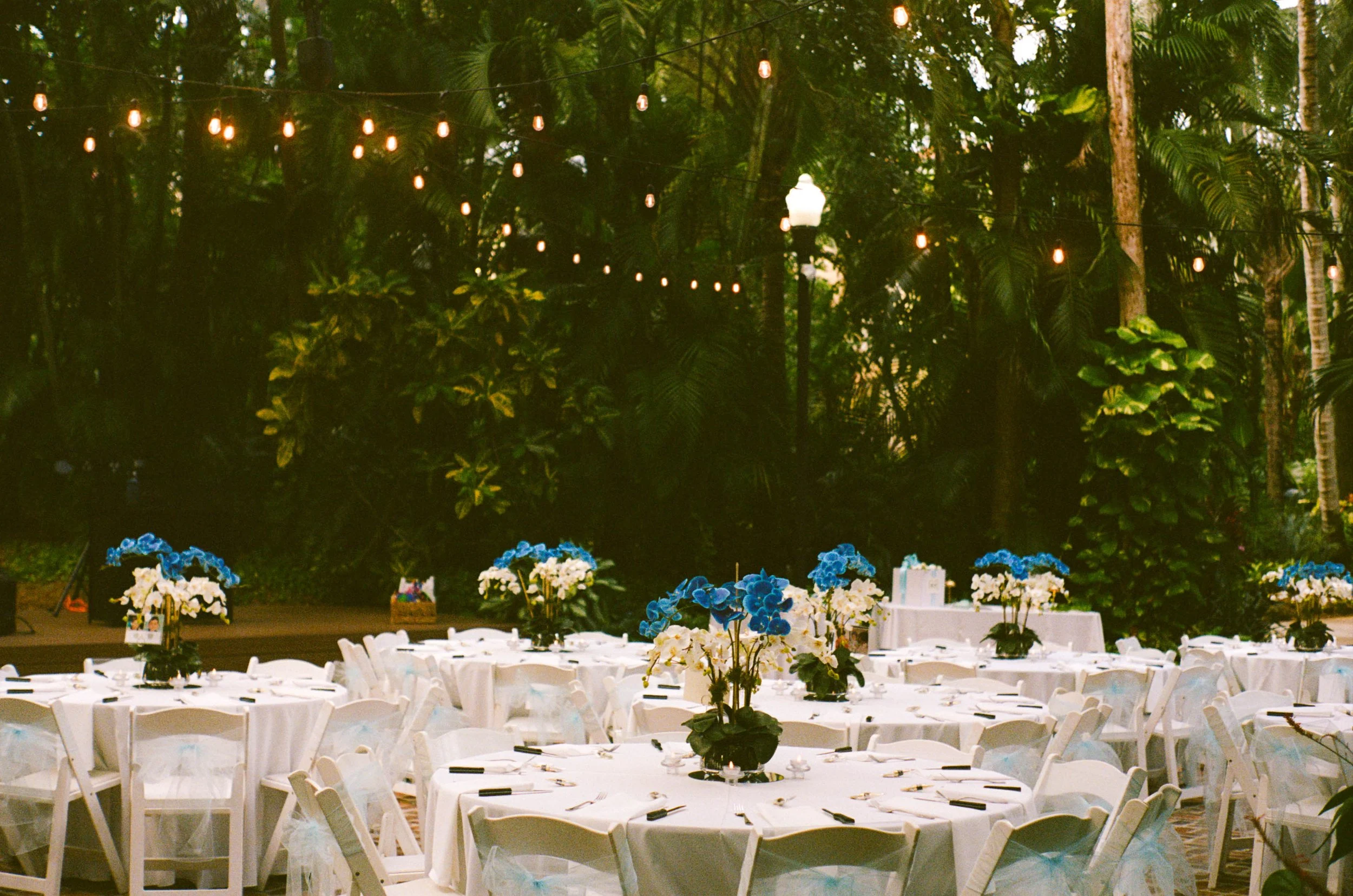 Outdoor event setup with round tables covered with white tablecloths, decorated with blue and white flower centerpieces, surrounded by white chairs with light blue sashes. String lights hang overhead in a wooded area with lush green foliage.