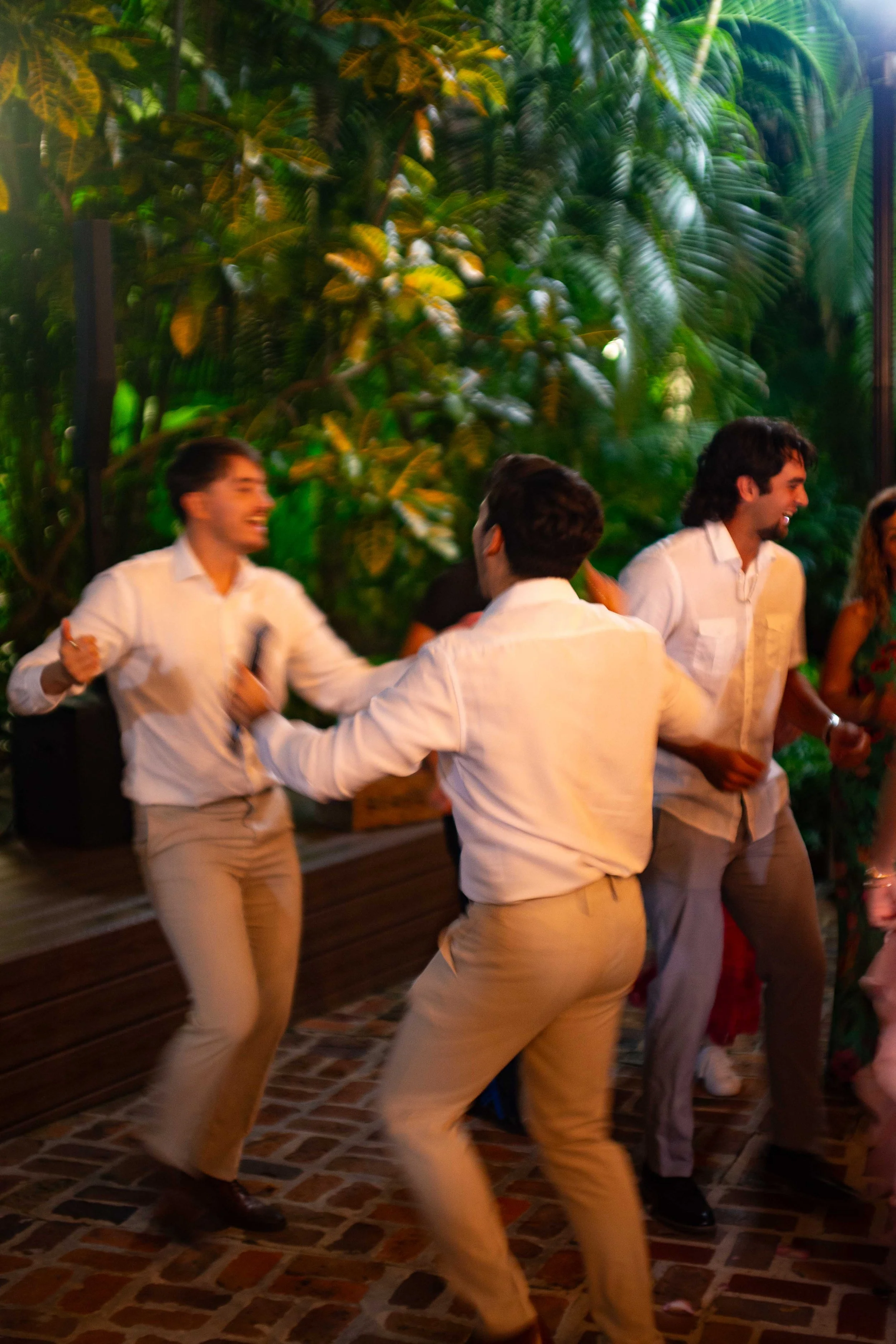 People dancing and enjoying themselves at a party with lush green tropical plants in the background.