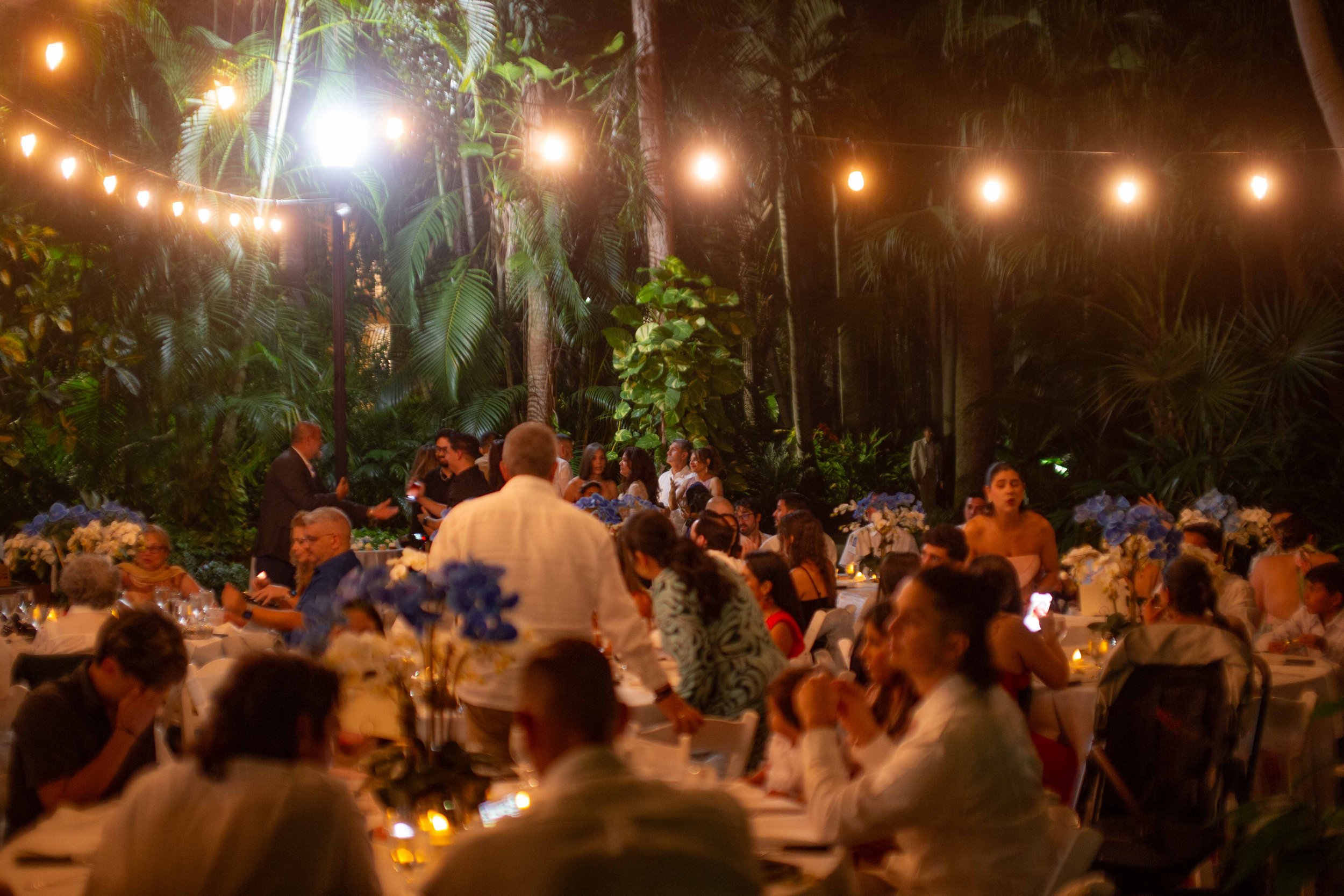 People dining at an outdoor evening event with string lights hanging above, surrounded by lush tropical plants and trees.