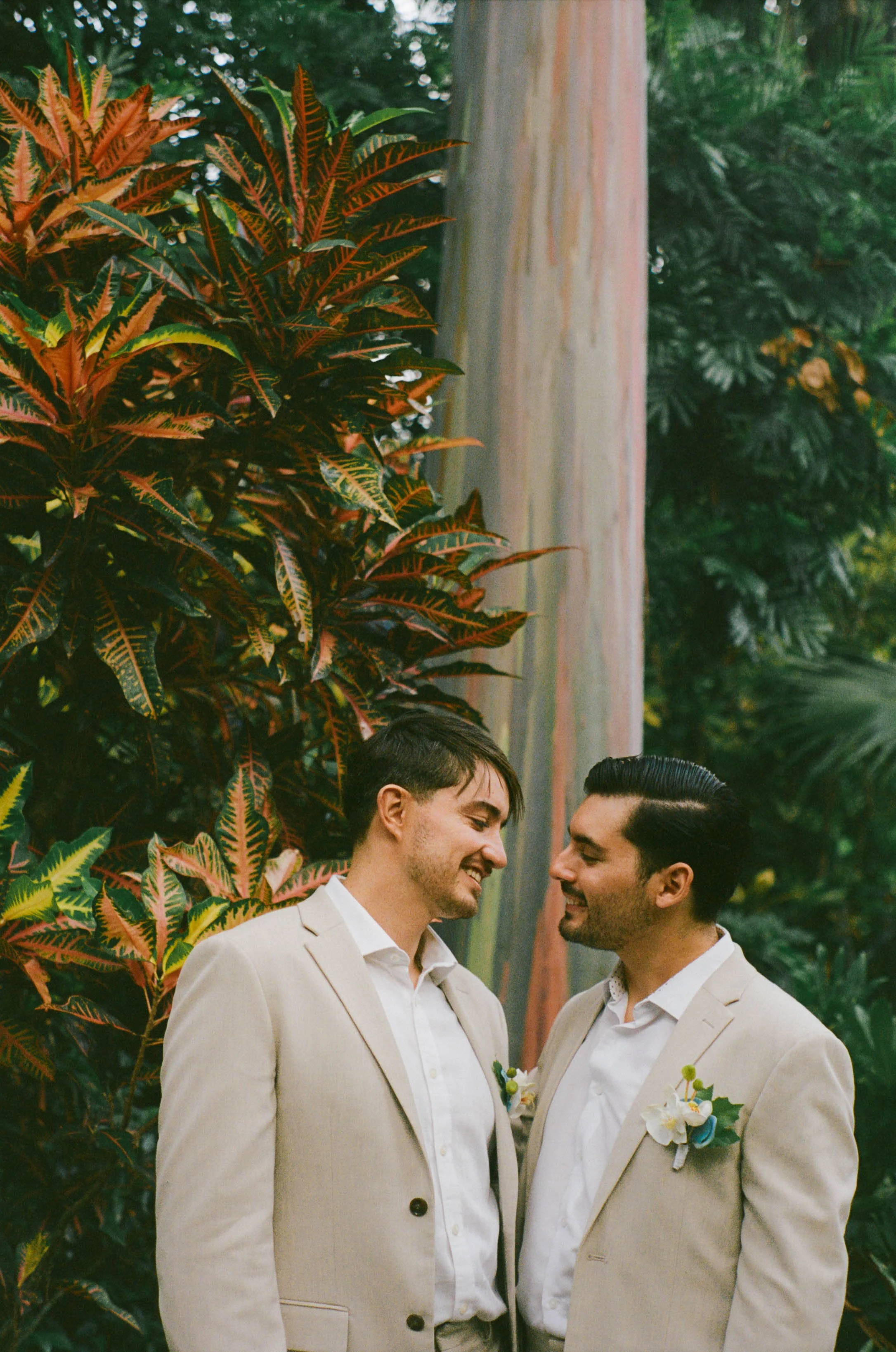 Two men in beige suits with white shirts and boutonnières standing close together, smiling, amid lush greenery and large colorful leaves.