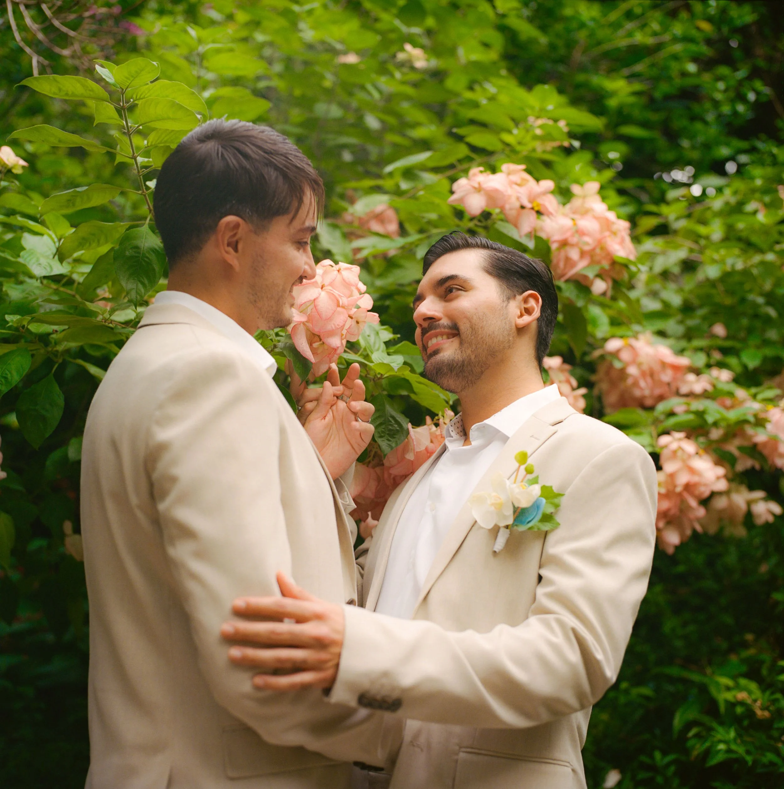 Two men in cream suits holding hands and gazing into each other's eyes in front of pink hydrangea flowers.