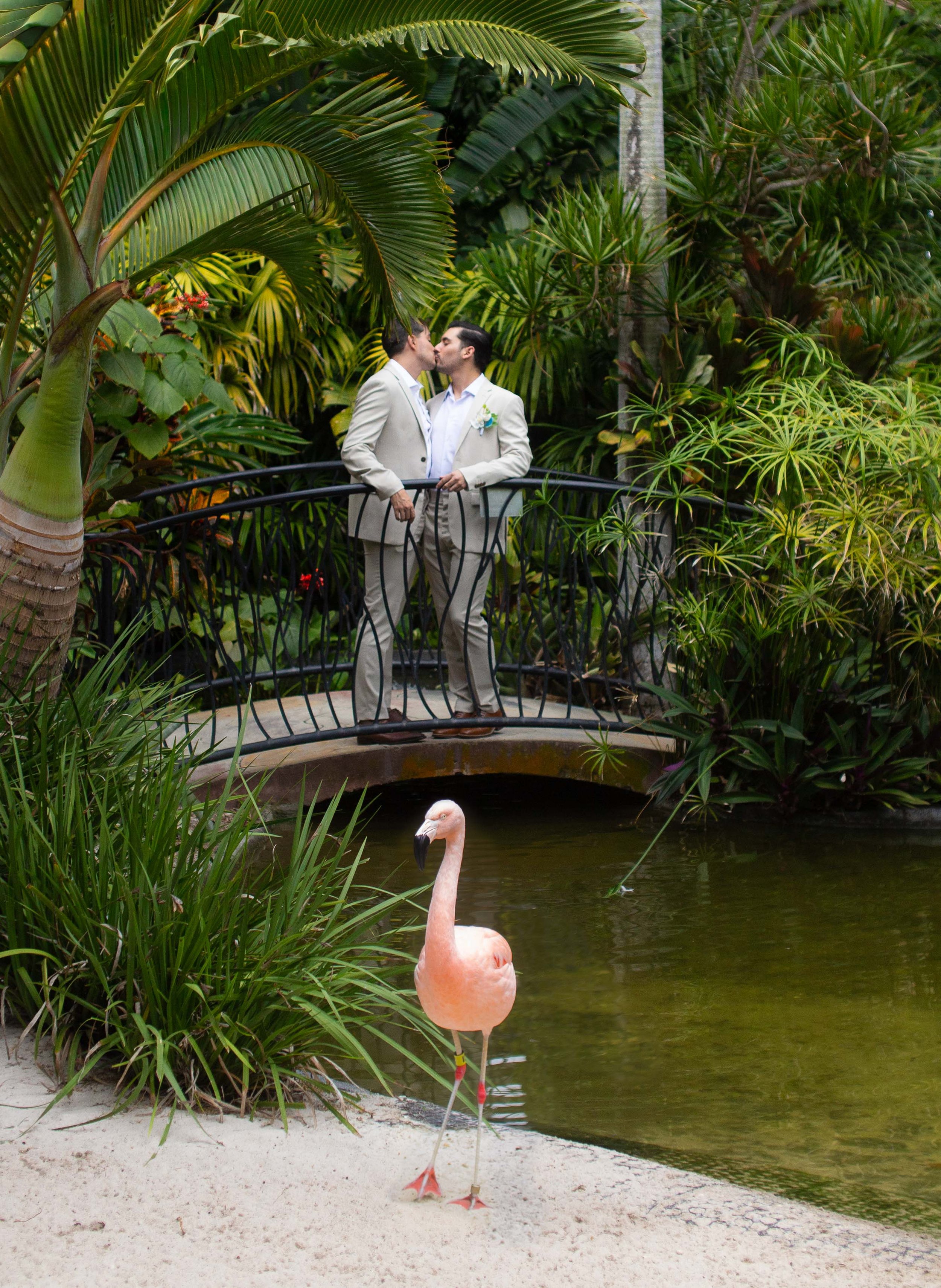 Two men in suits kissing on a small bridge in a lush tropical garden with a flamingo standing near the water in the foreground.