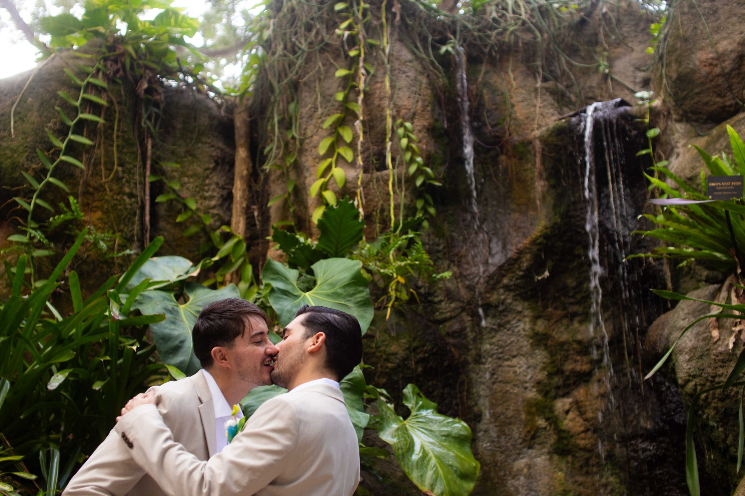 Two men in beige suits kissing in front of a waterfall surrounded by lush green tropical plants.