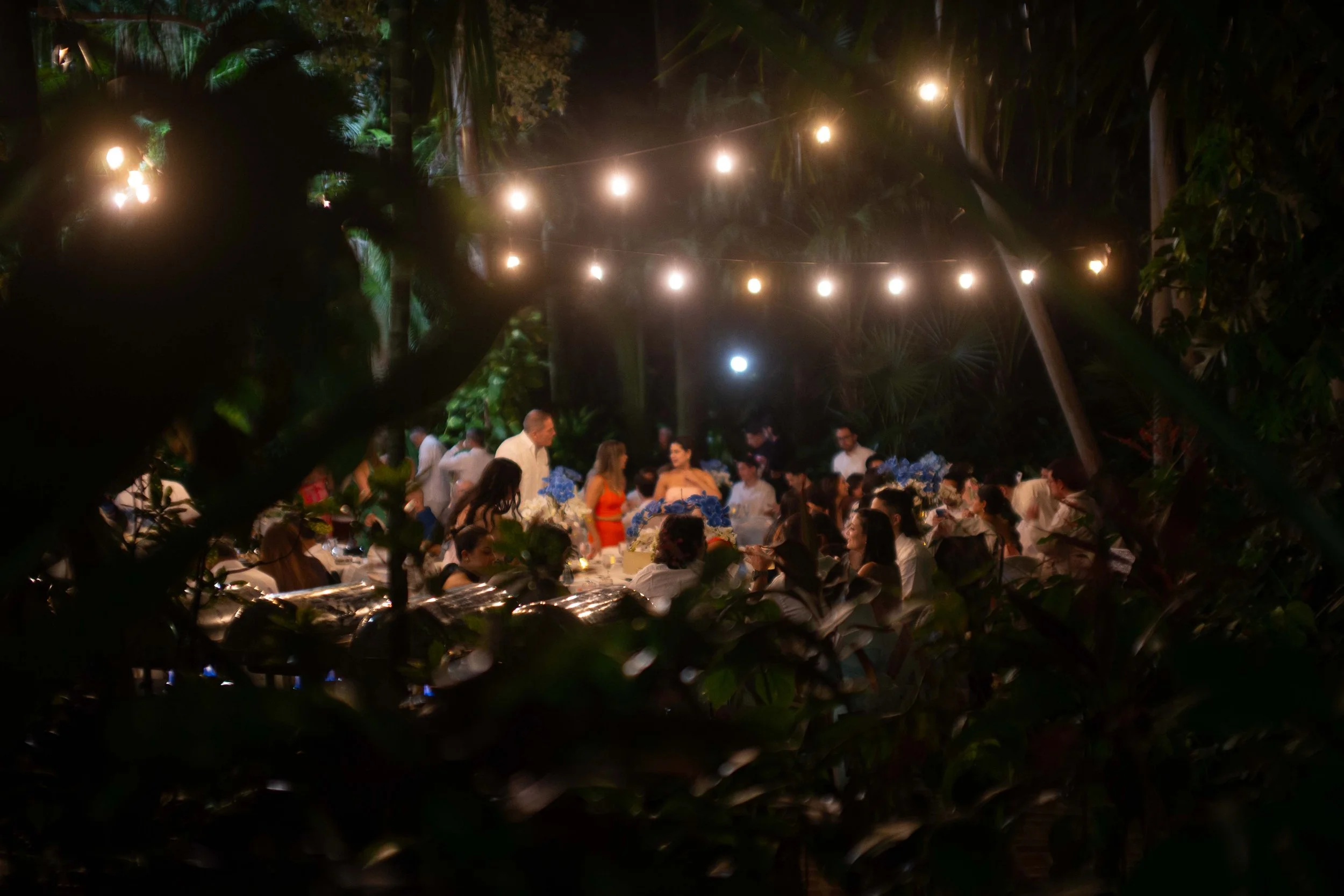 People gather at an outdoor nighttime event with string lights overhead, surrounded by lush trees and foliage, possibly in a garden or forest setting.