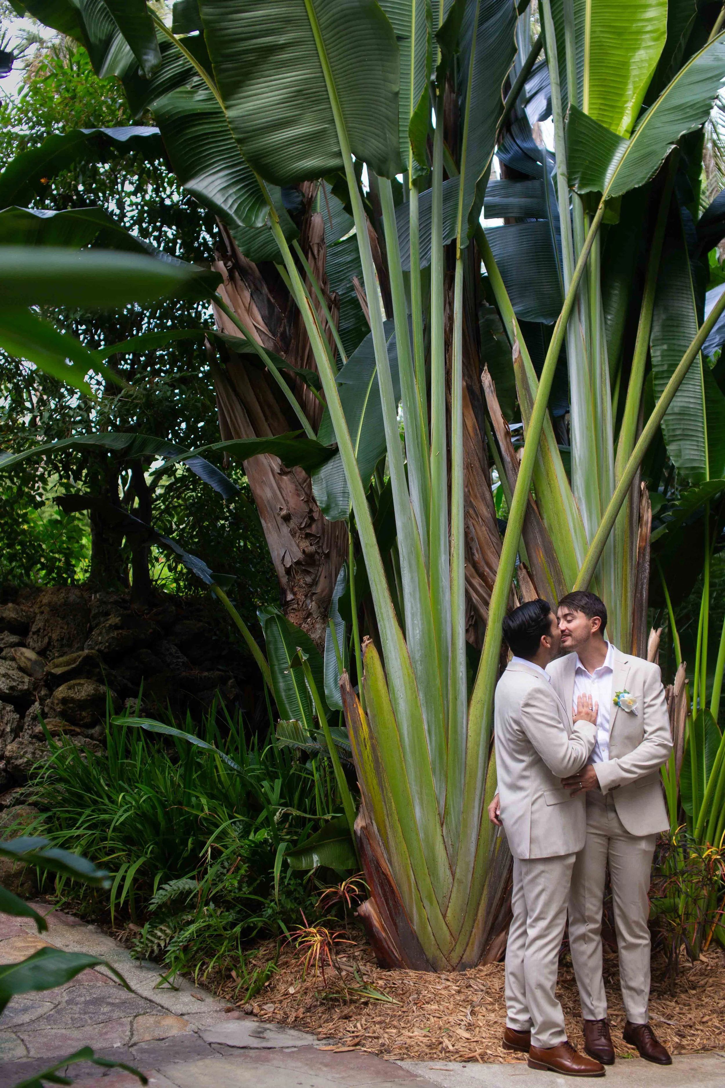 Two men in formal suits sharing a romantic moment in front of a large tropical plant.
