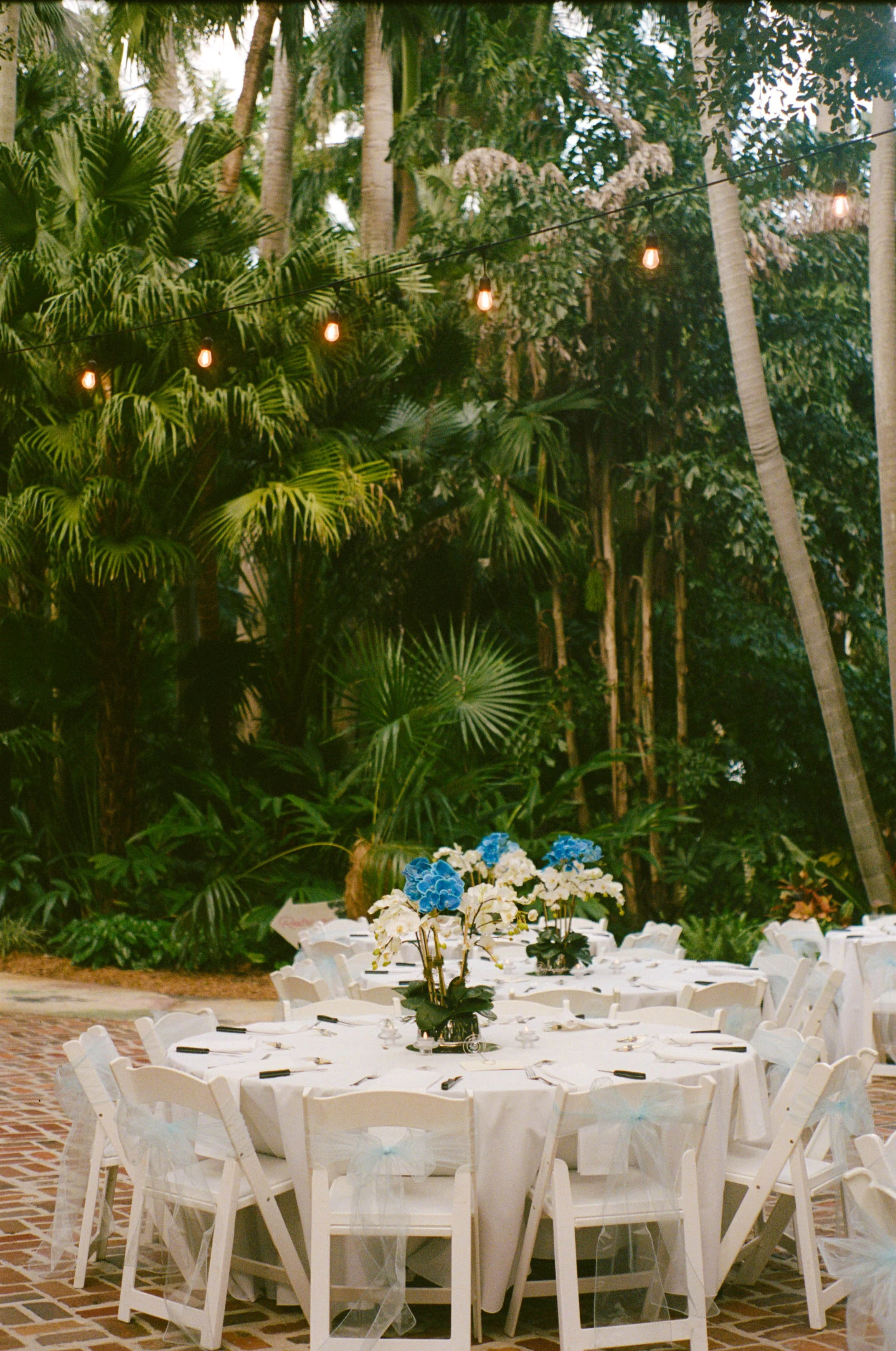 Outdoor event setup with round tables covered with white tablecloths, decorated with blue and white floral centerpieces, surrounded by white chairs with tulle ribbons, under string lights, amidst lush green tropical plants and trees.