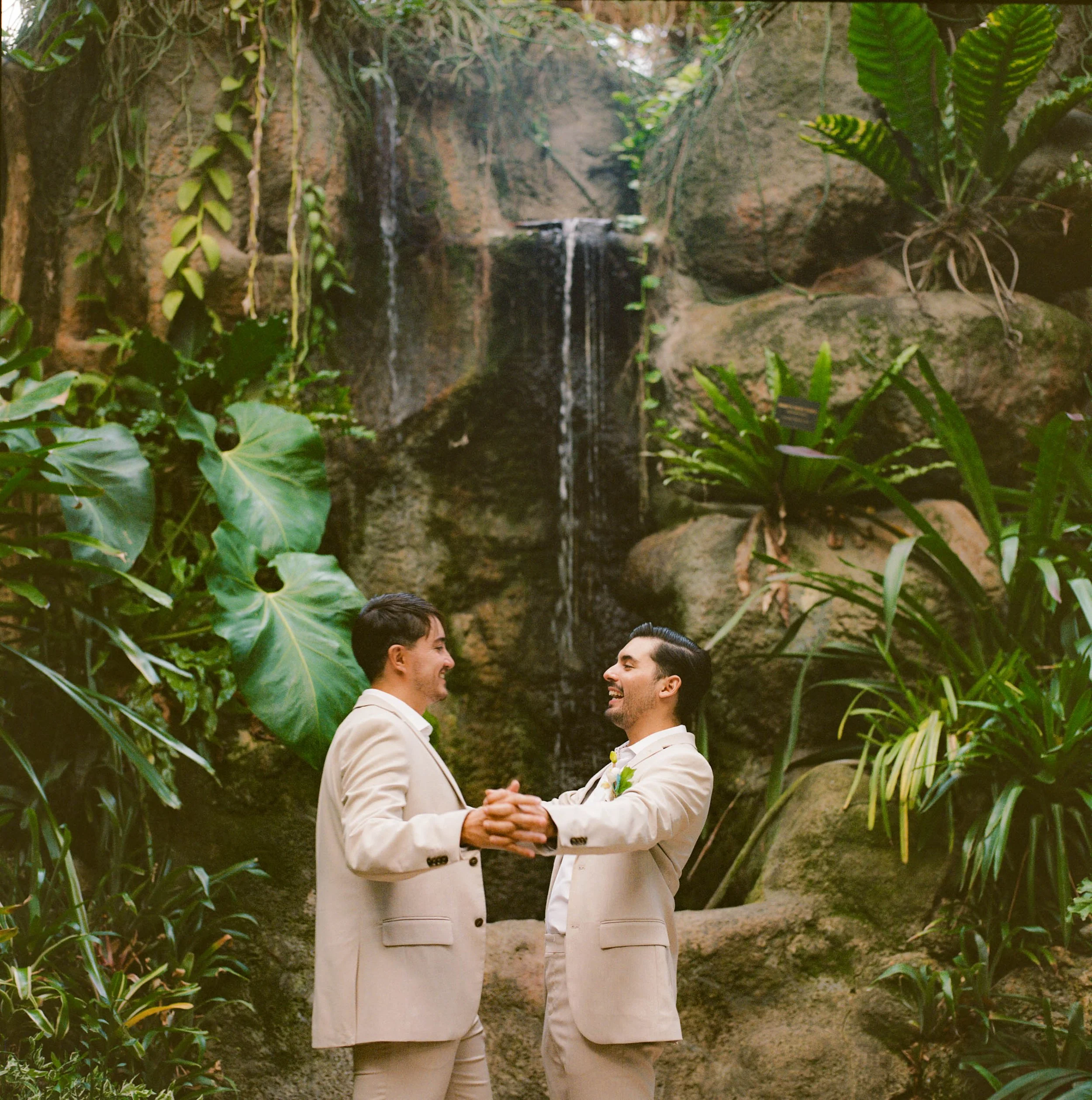Two men in beige suits holding hands and smiling at each other in front of a lush tropical backdrop with large green leaves and a small waterfall.