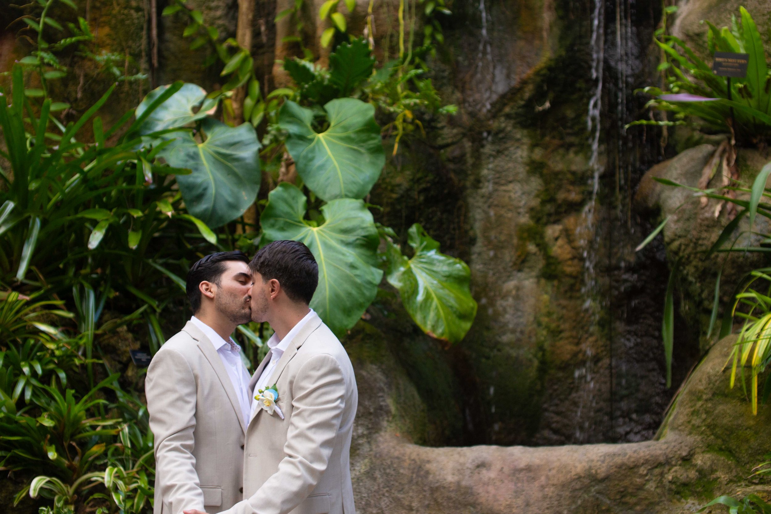 Two men in light-colored suits kissing in a lush, green indoor garden with large leaves and a small waterfall in the background.