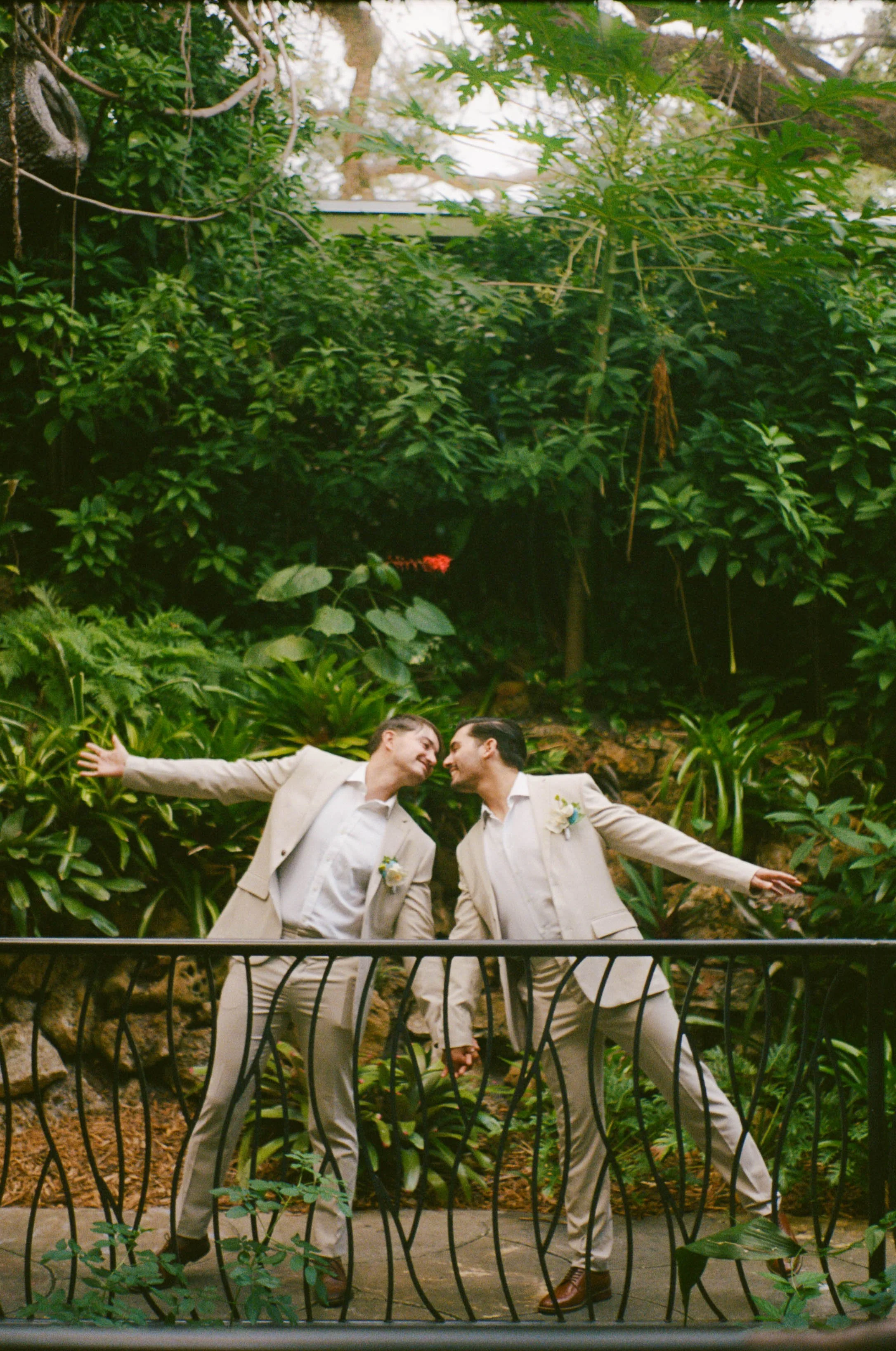 Two men in beige suits, white shirts, and boutonnières holding hands and leaning faces towards each other, standing behind a black metal railing in a lush green garden.