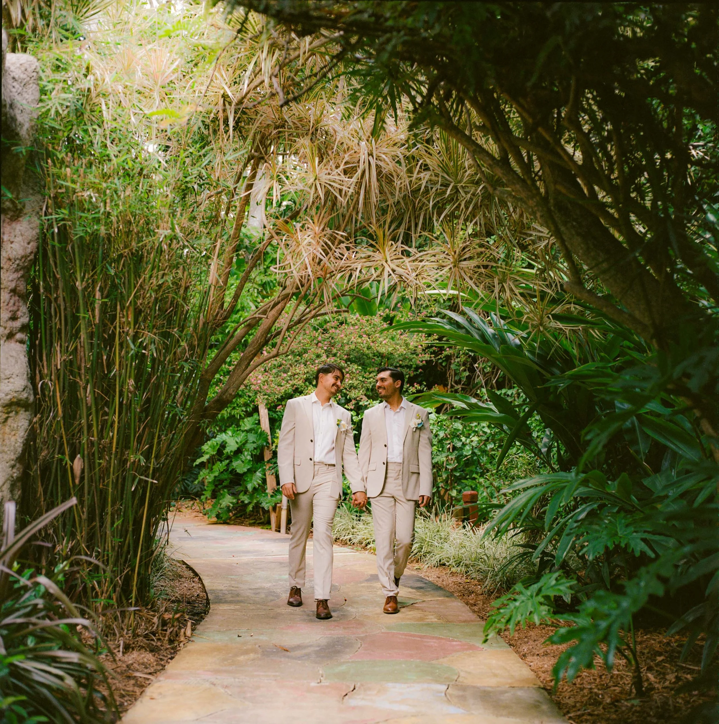 Two men in beige suits and white shirts holding hands and walking along a garden path, surrounded by lush green tropical plants and trees.