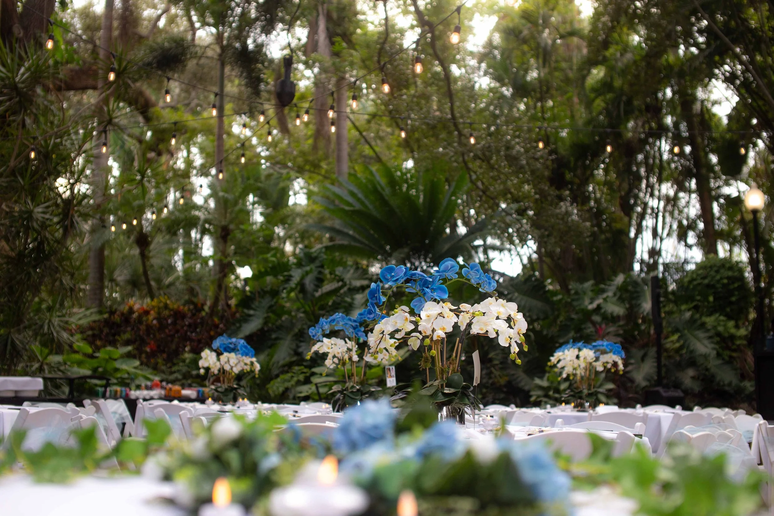 Outdoor event setup with tables, white chairs, and floral centerpieces of blue and white flowers, surrounded by lush greenery and overhead string lights.