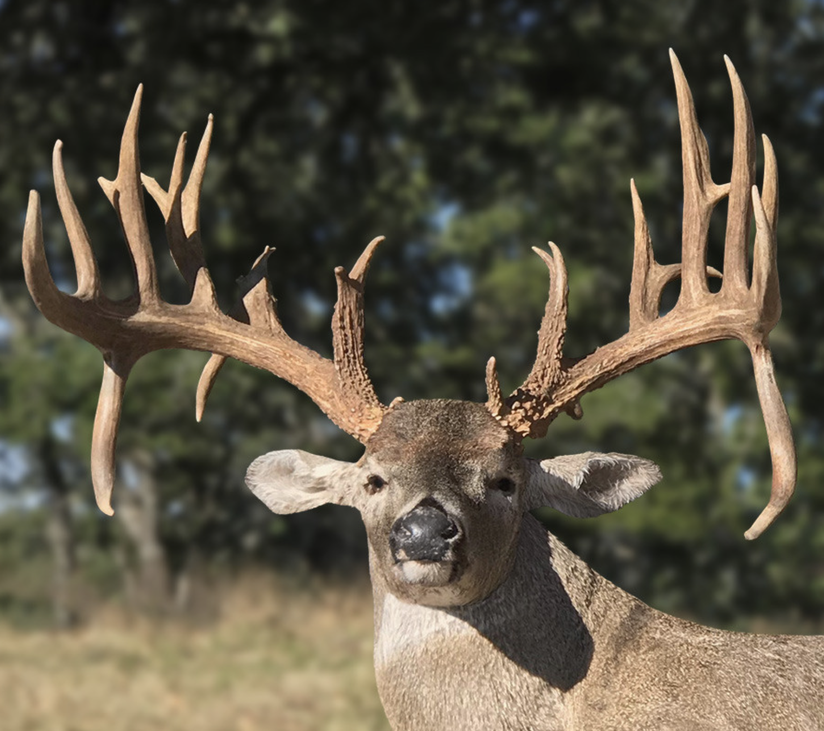 Screenshot 2025-08-05 at 7.45.33 PM.png