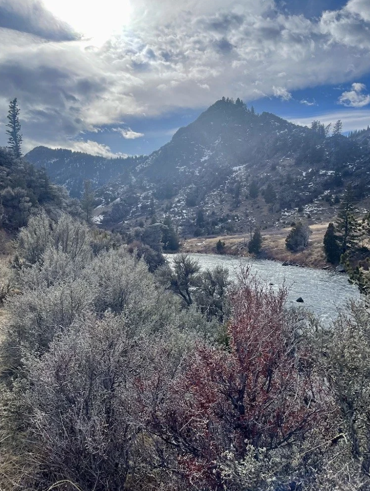 Screenshot 2025-12-24 at 10.11.58 AM.png