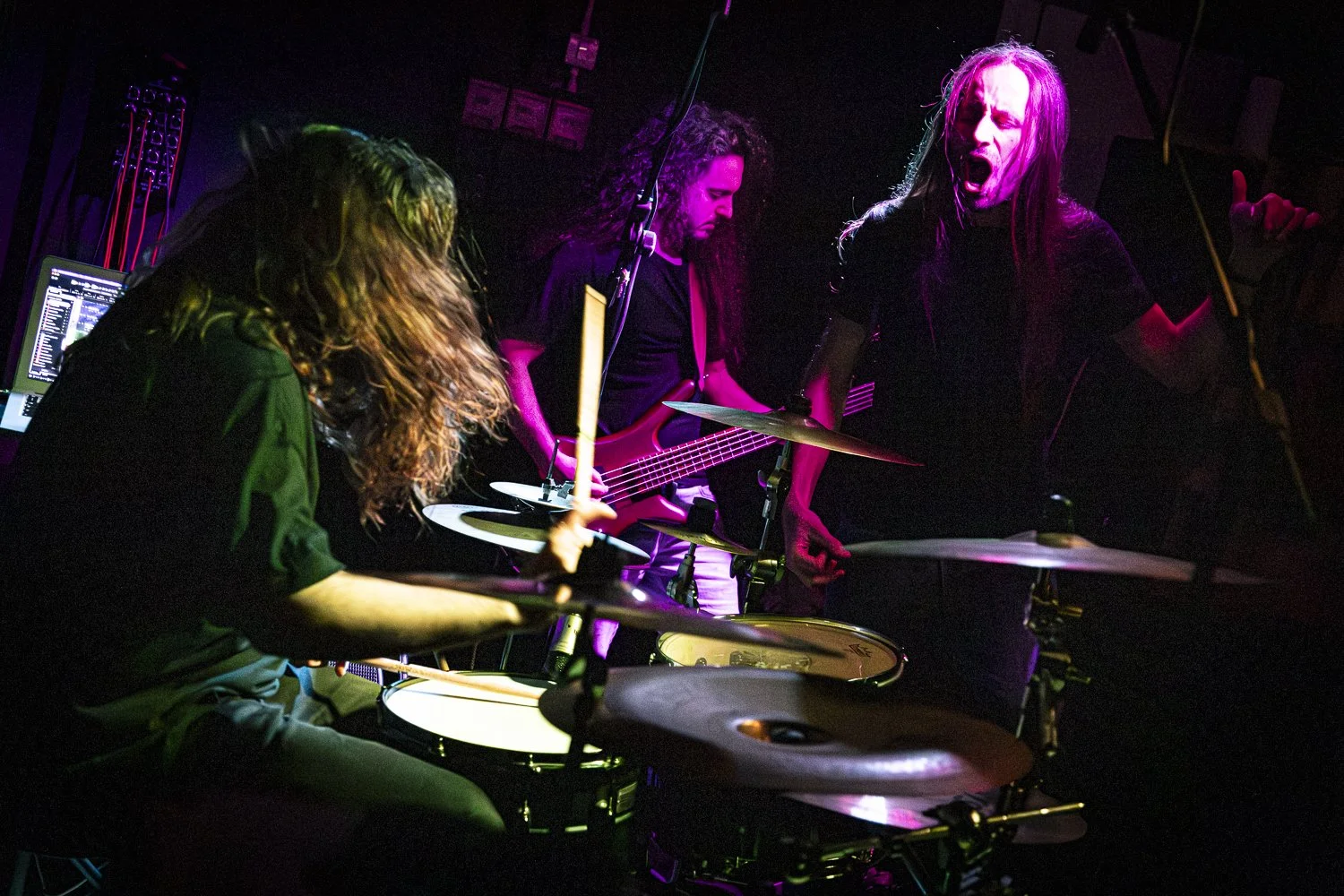 Sandflower, Arci Area 2026