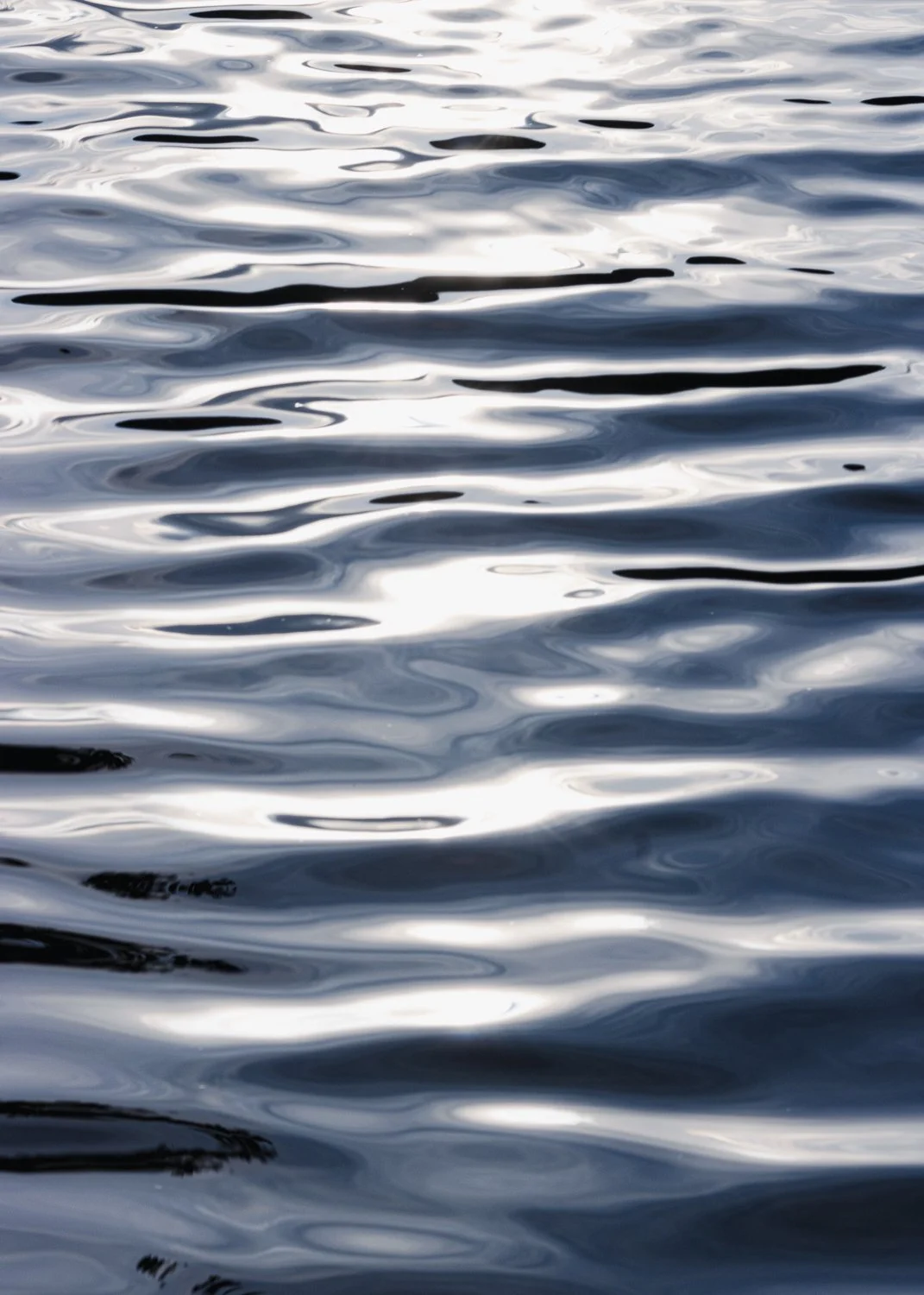 Lago del Segrino, 2025-4536.jpg