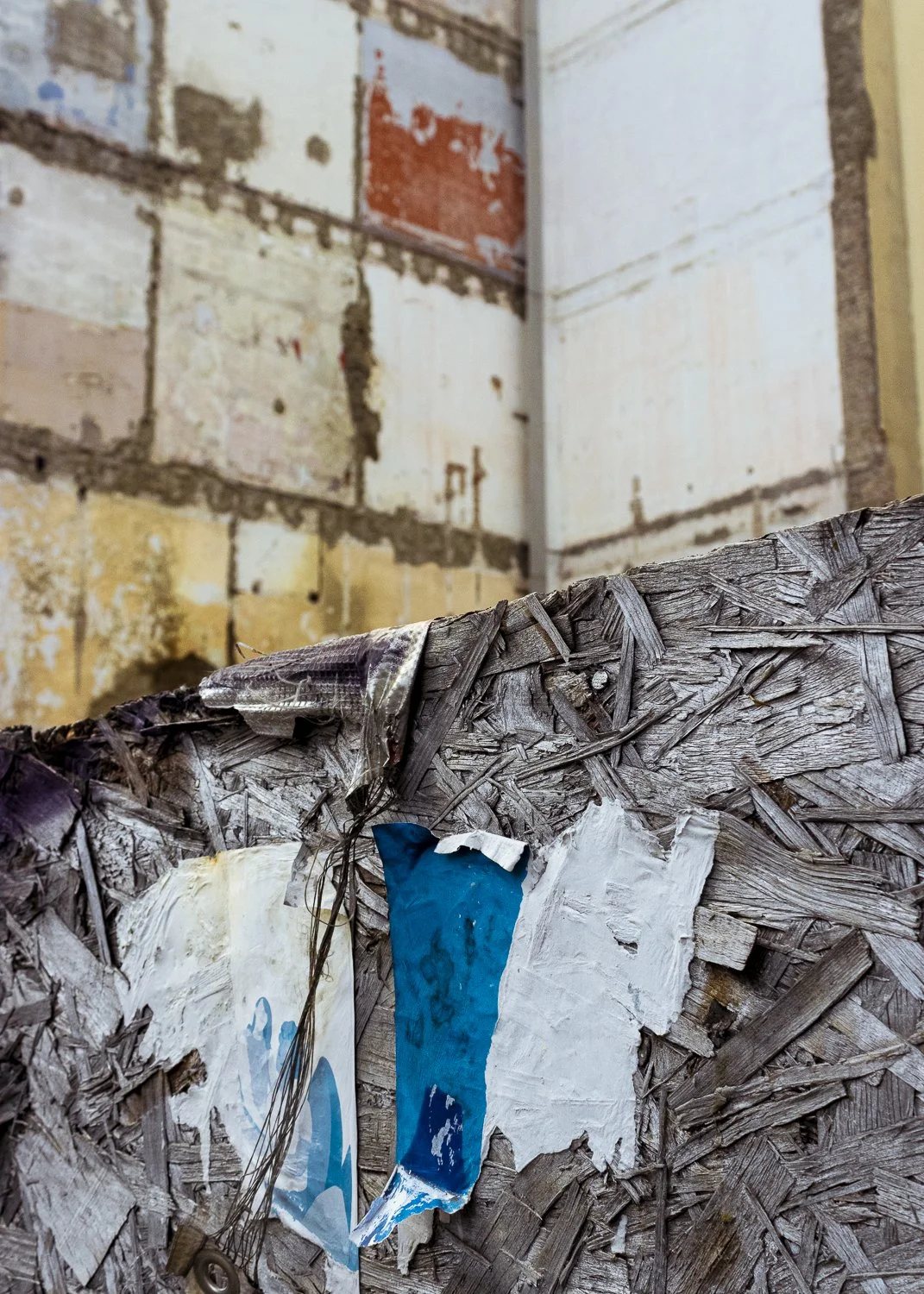 Milano, 2025-2487.jpg