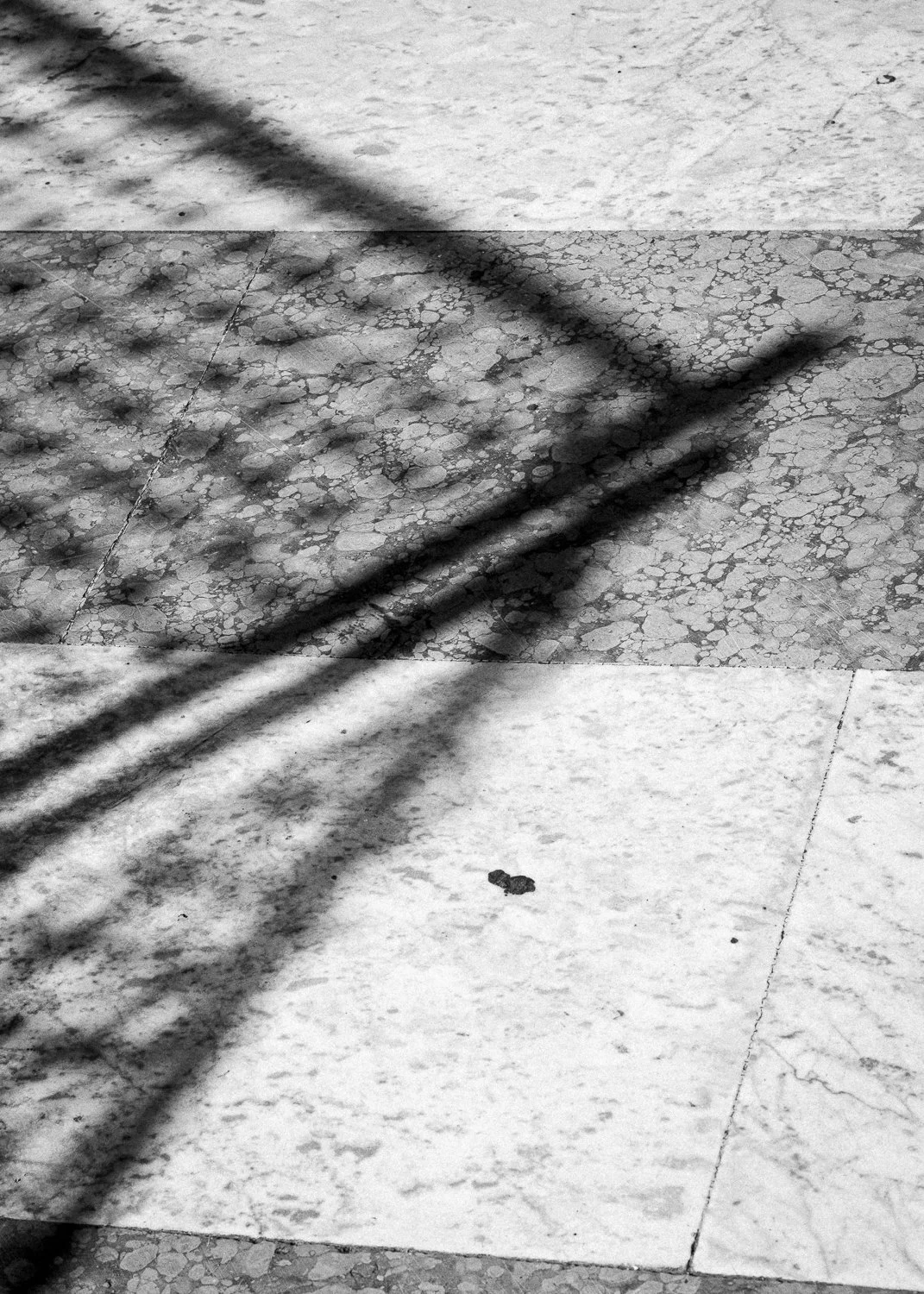 Milano, 2025-2563.jpg