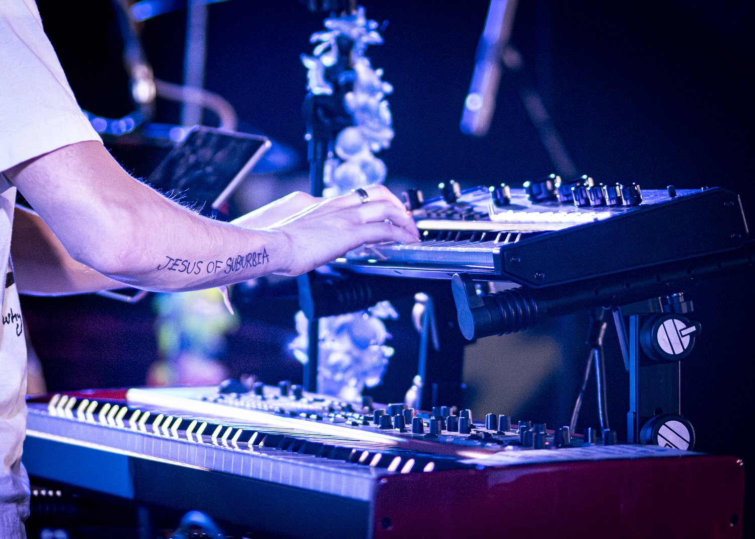 Garrapateros, Bloom Mezzago 2025