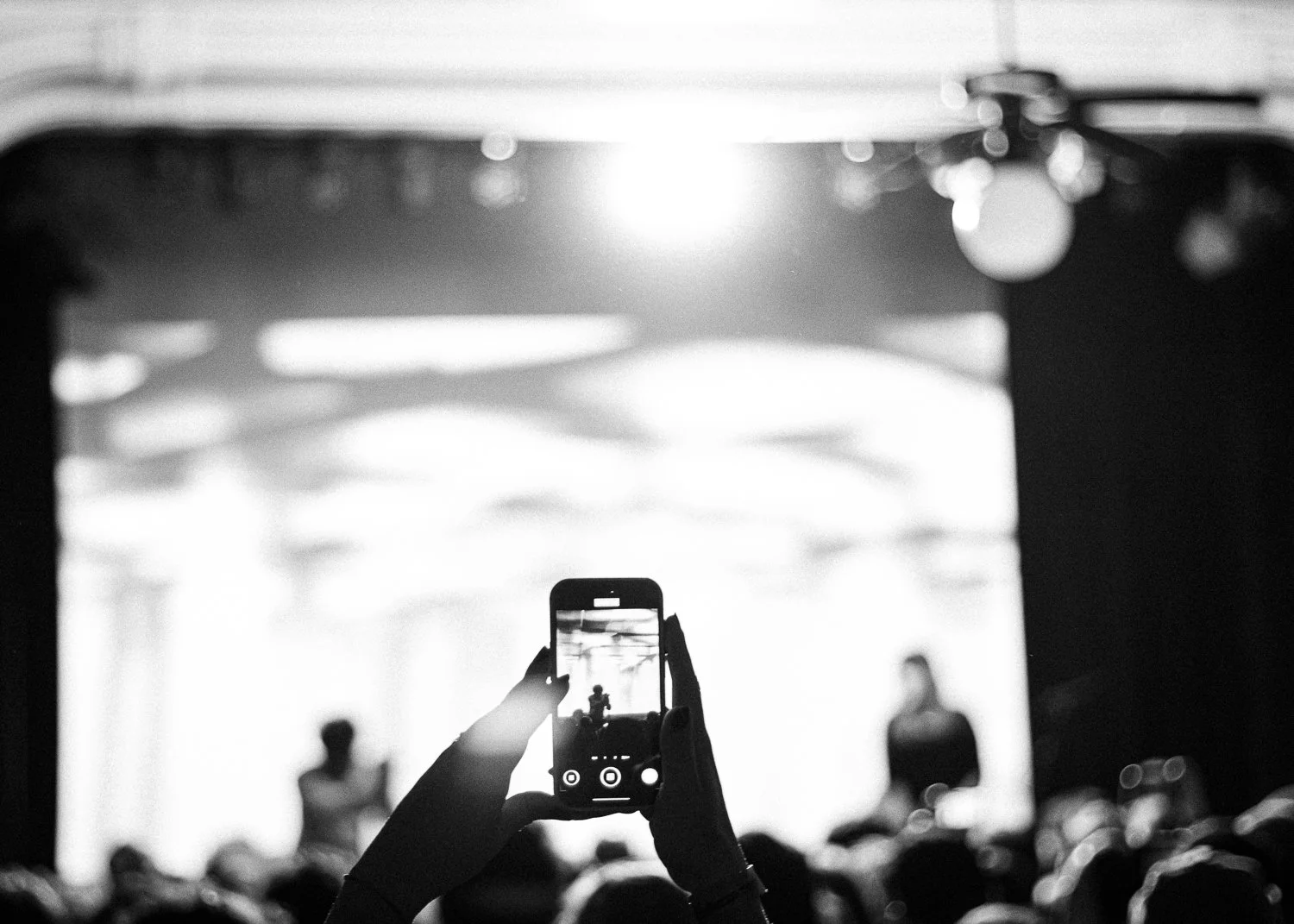 The KVB, Arci Bellezza 2024