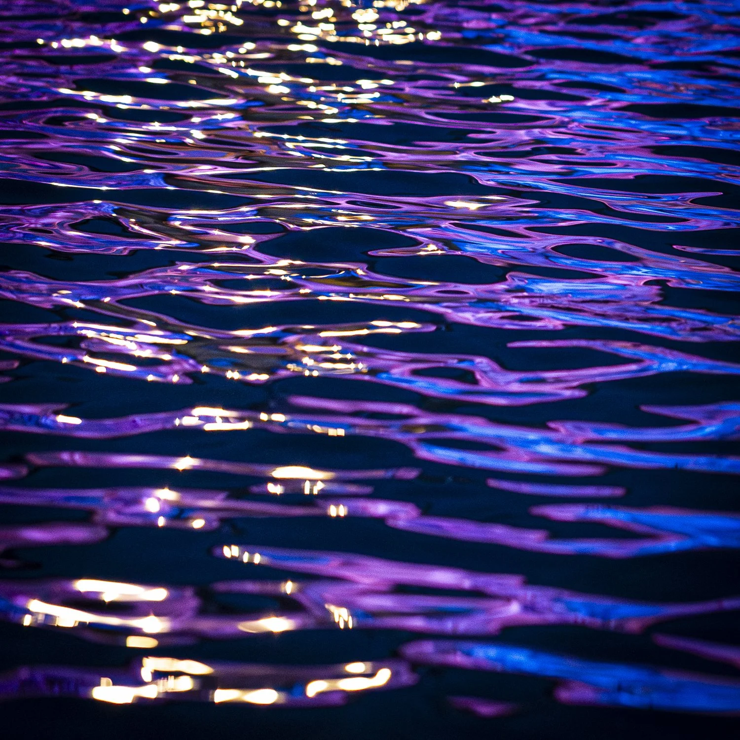 Monza, 2025-4196.jpg