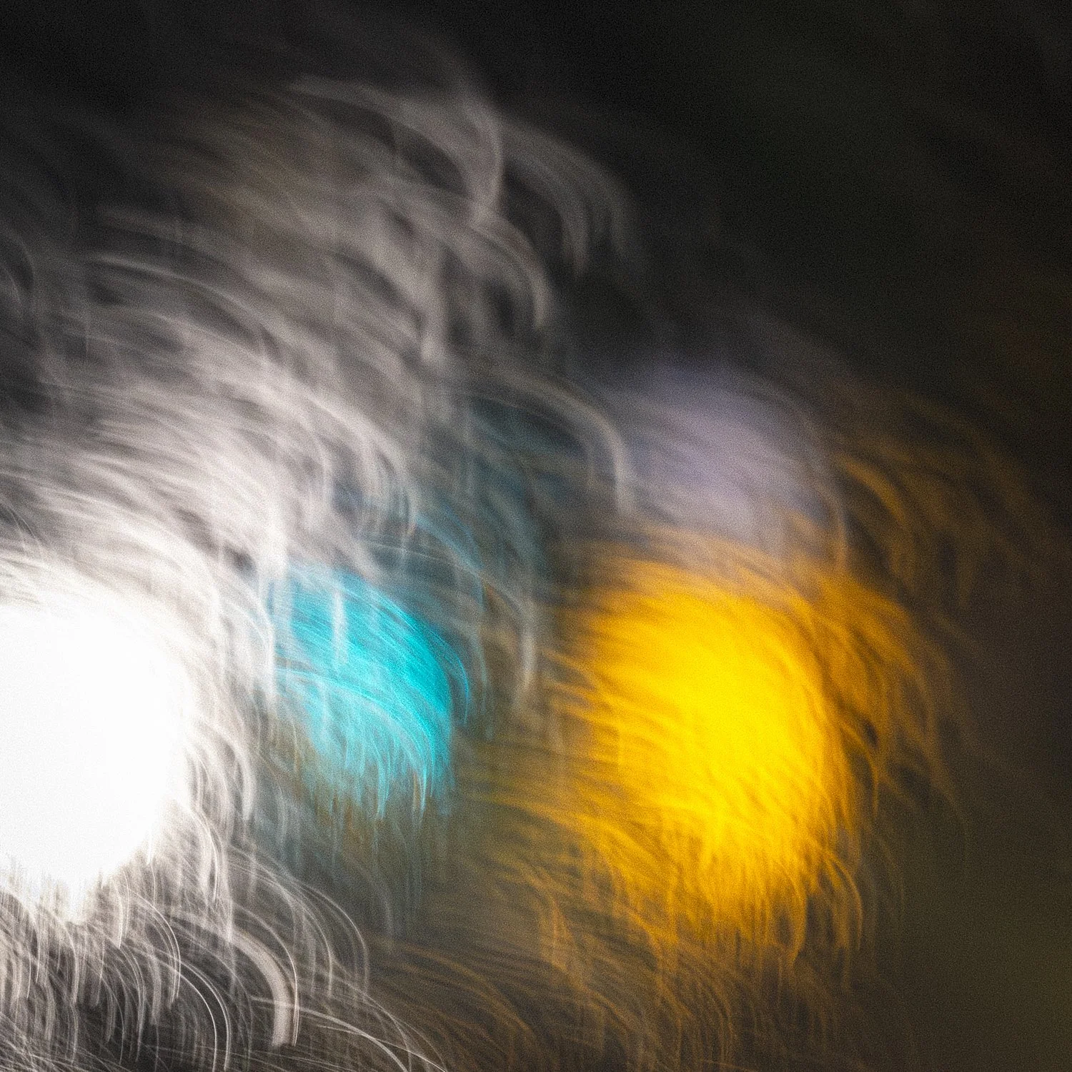 Cavenago, 2025-4232.jpg