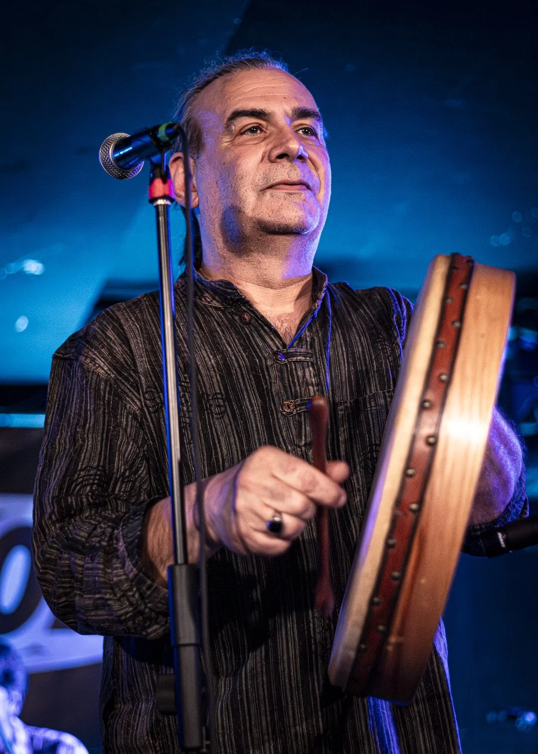 The Morsellis, Bloom Mezzago 2025