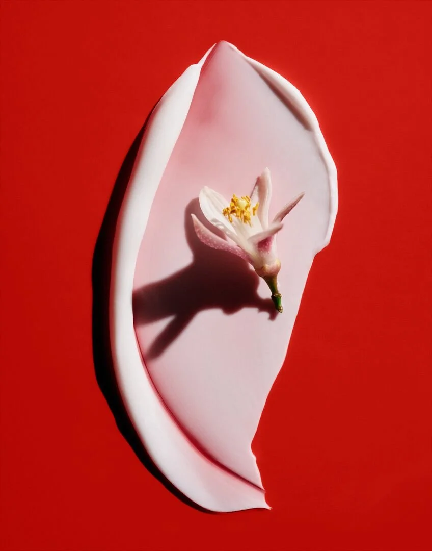 Large_JPG-20260410_BODYBUTTER_SWATCH_2007.JPG