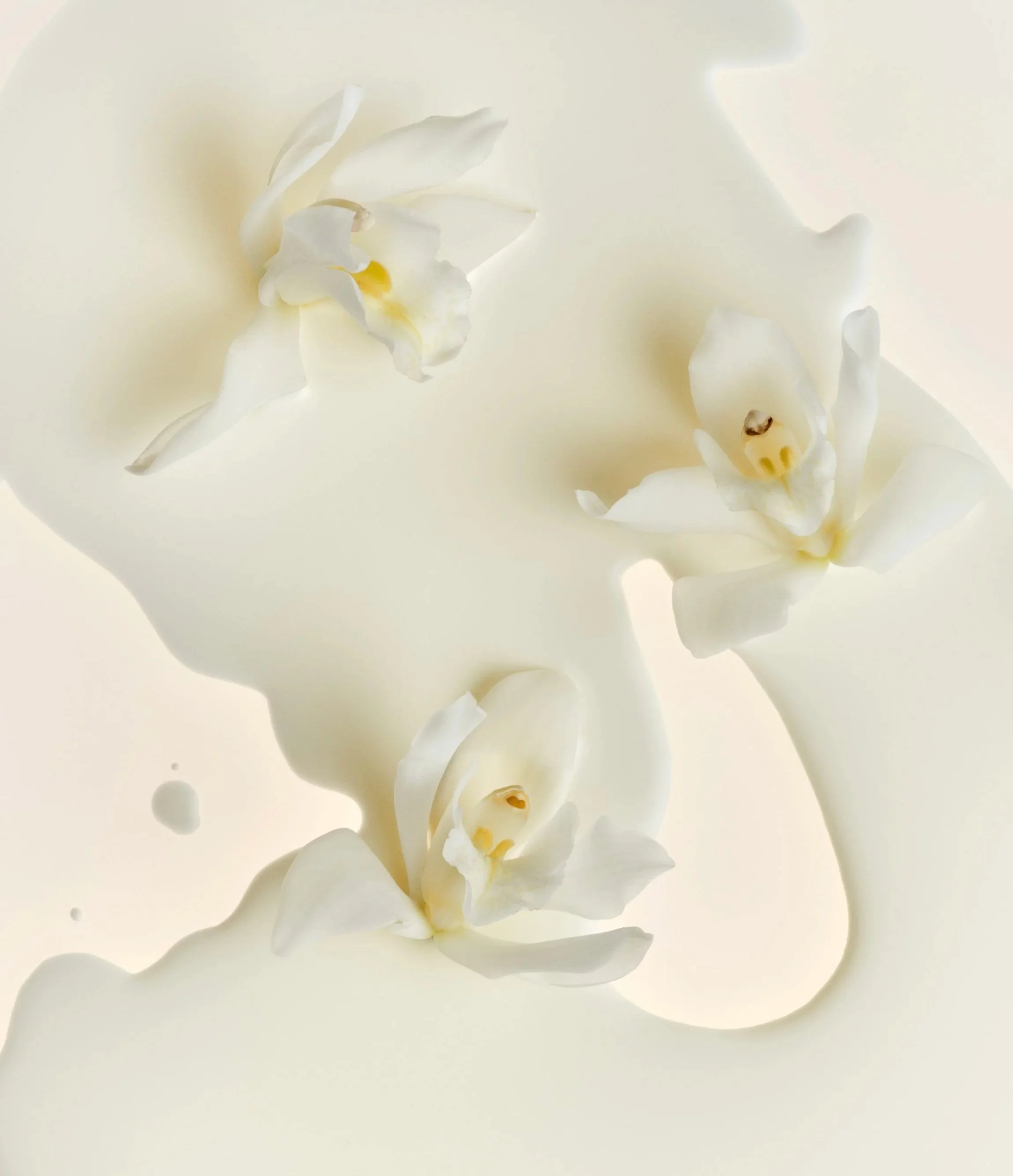 0526-InBed-BodyButter-macro-shot10-ingredients-flowers-FINAL-RGB+copy.jpg
