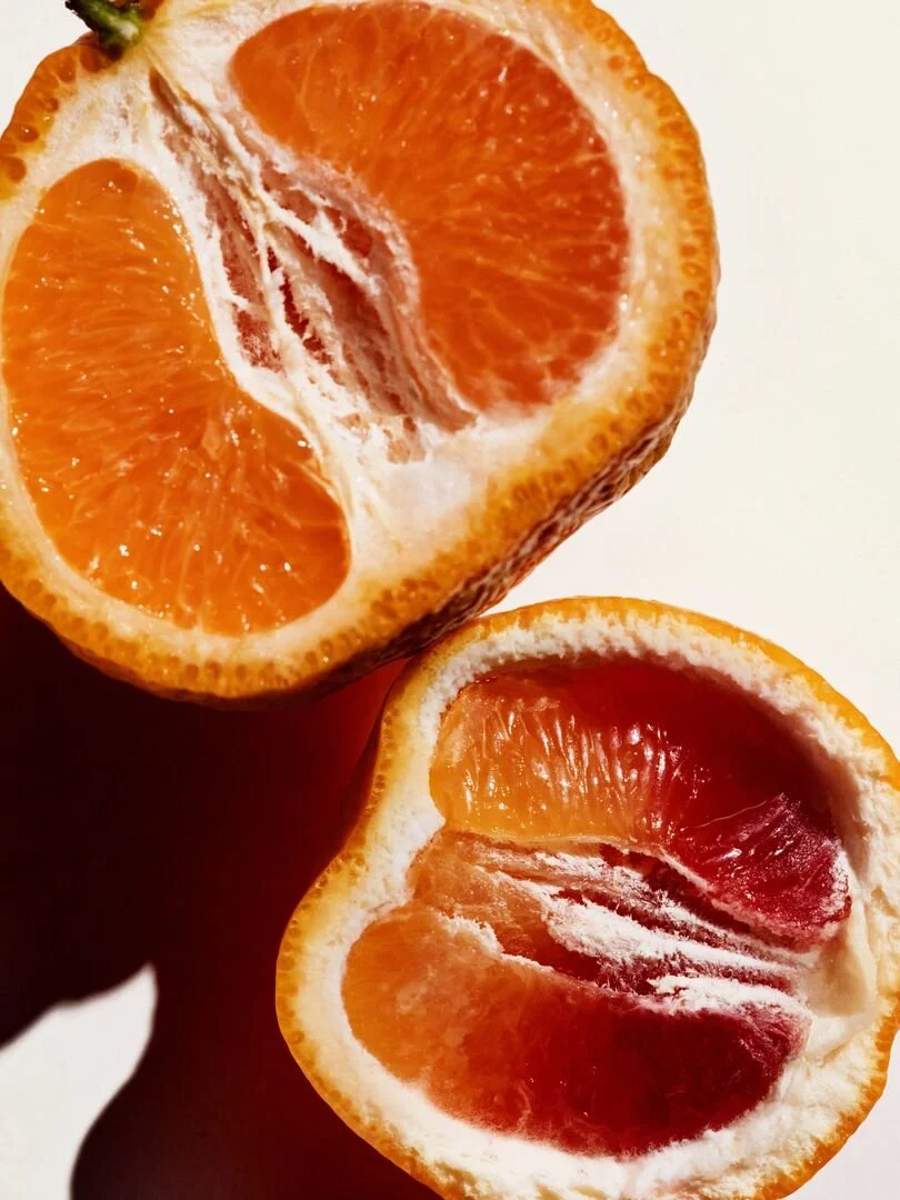 Large_JPG-20260410_CITRUS_1705.JPG