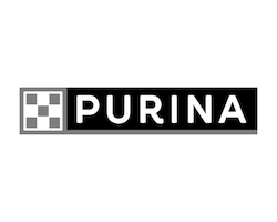 Purina logo with a black background and white text.