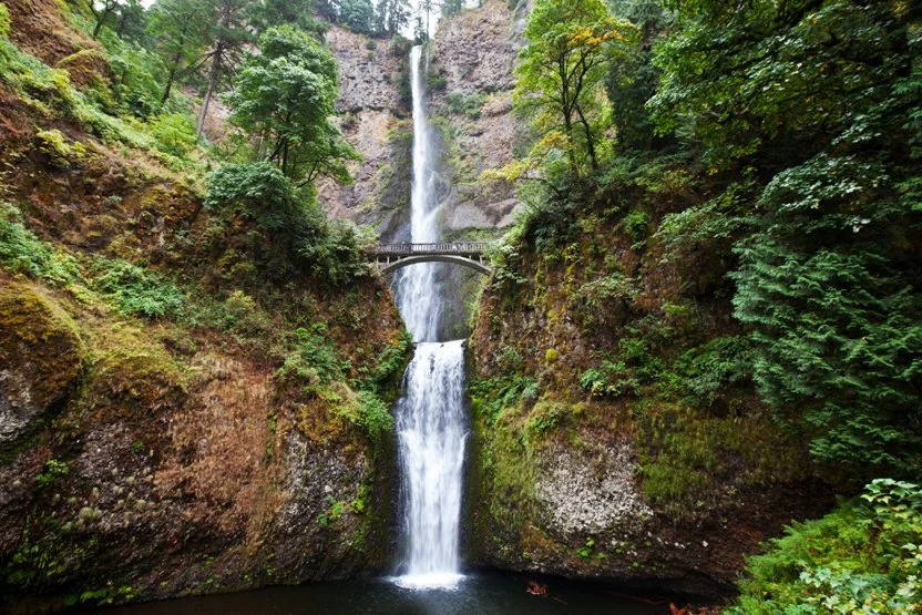 The Columbia River Gorge is a vast scenic area with waterfalls, hikes, and cool spots. Some of our fav quick view spots are Multnomah falls, Bridal veil falls, and Latourell falls, and we love the hike to Wahclella falls or the Bonneville fish hatche