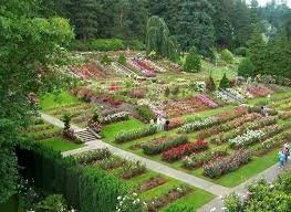 Washington Park is just west of downtown, and has the International Rose Test Garden, the Portland Japanese Garden, Oregon Zoo, the Hoyt Arboretum, and hiking trails! The Japanese Garden and Zoo require tickets, but the rose garden and arboretum are 