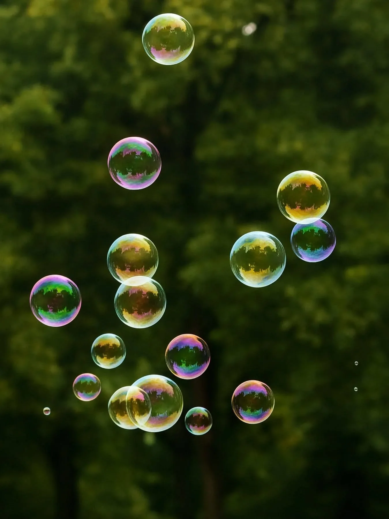 IK BEN  de bellenman  bellen blazen is men passie  overal waar ik ben zin er bubbels  zelfs bij het wachten voor het stop licht blaas ik bellen TJA sta er toch maar #fypage #followｍe  #bubbels  #fyp #fun bubbels bubbels bubbels