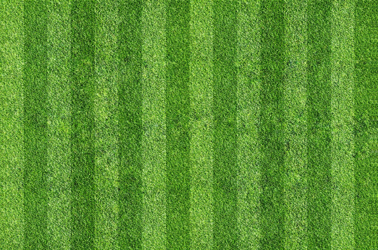 A lush, well-manicured green grass field with visible mowing lines.