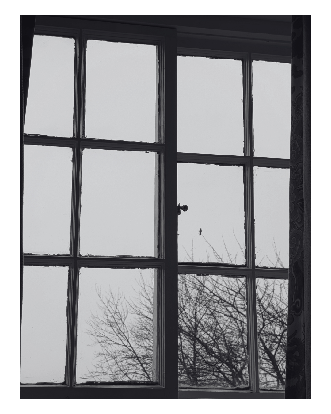 A window with divided panes showing leafless tree branches and an overcast sky outside.