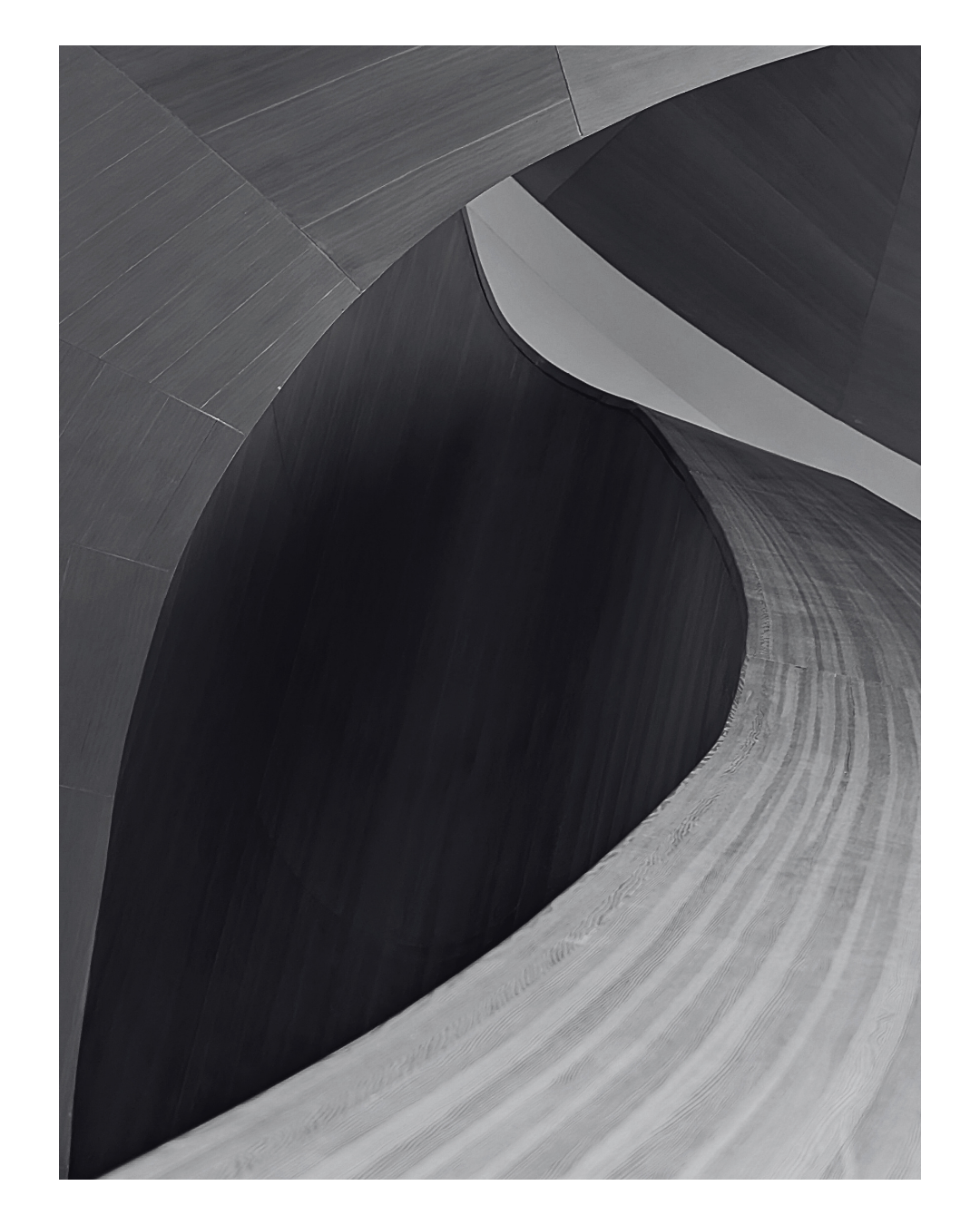 Abstract black and gray curved architectural design with smooth, flowing lines.