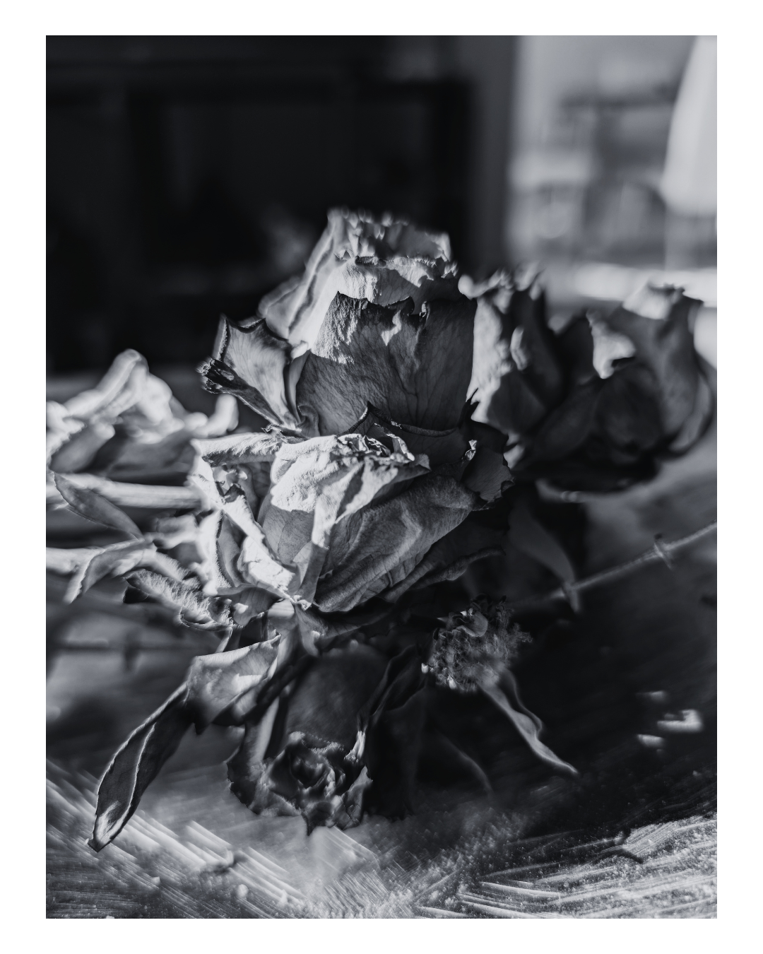 Close-up black and white photo of a wilted flower with dried, crumpled petals on a reflective surface.