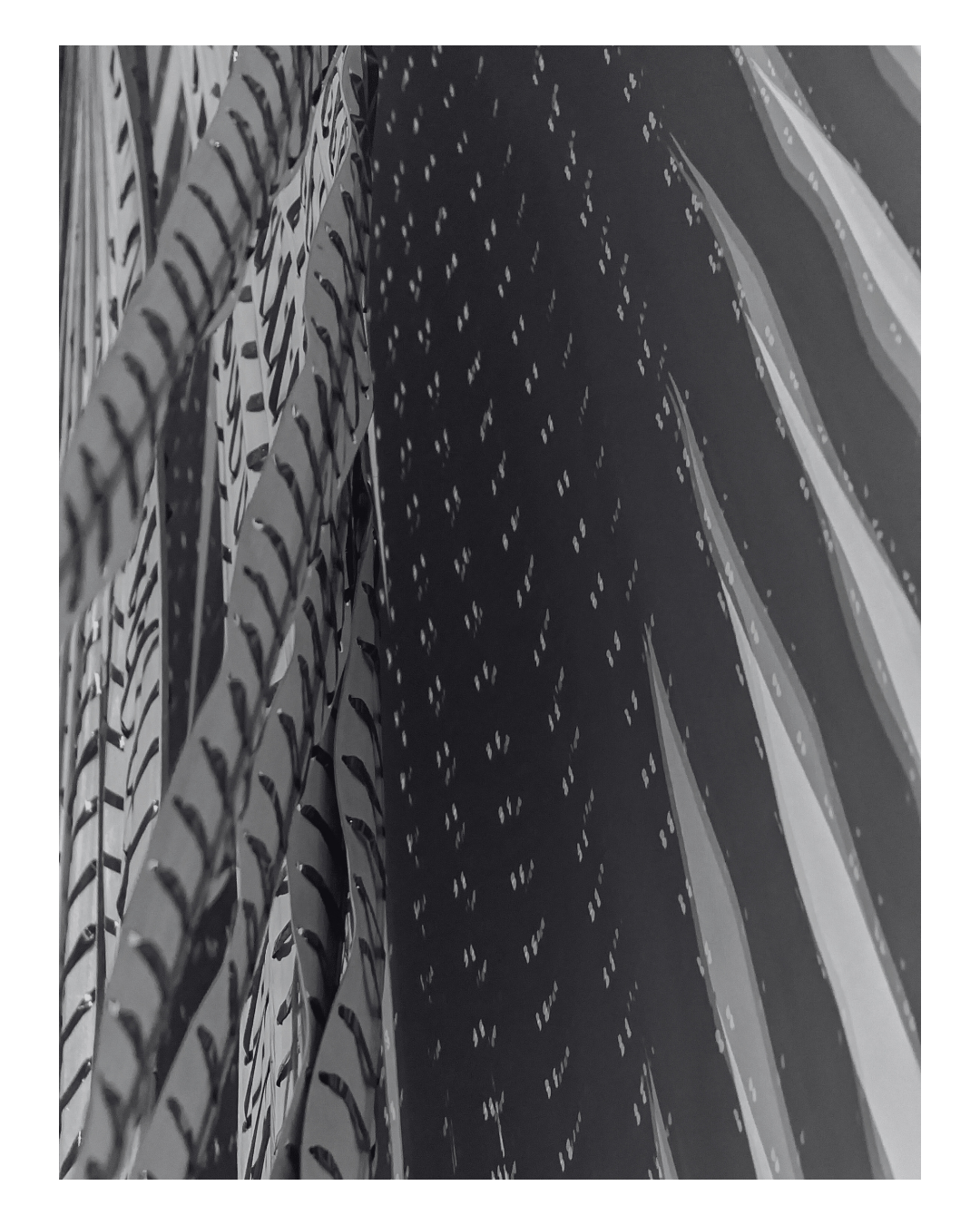 Close-up of patterned fabric with leaf and dotted designs in black and white.