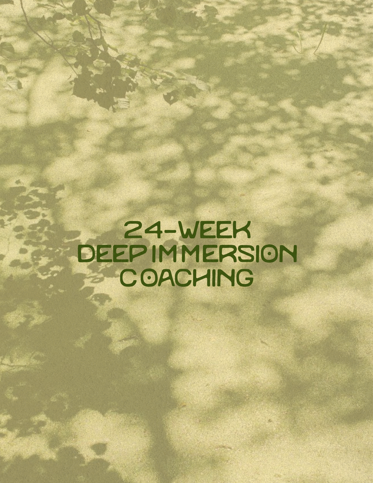 24-Week Deep Immersion