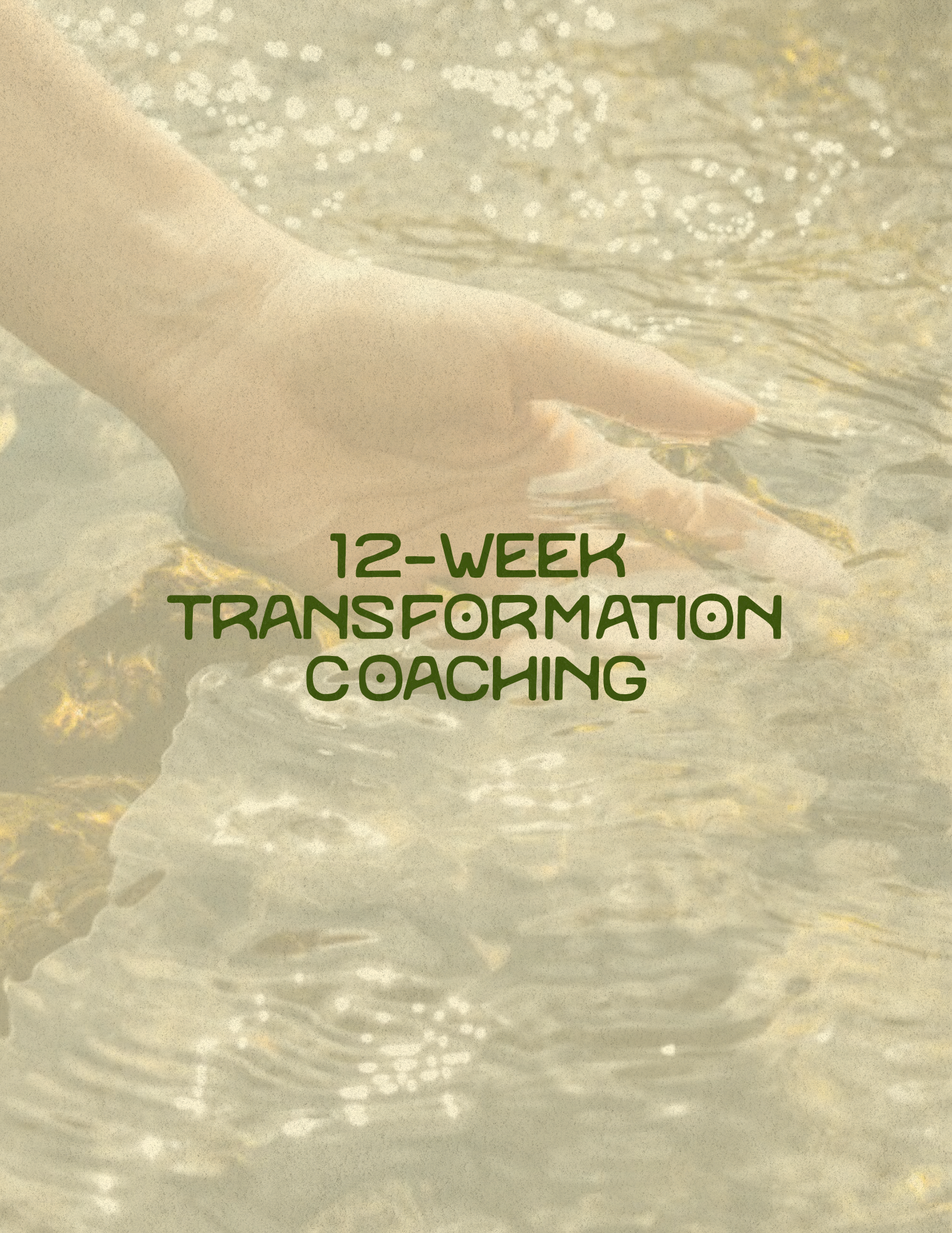 12-Week Transformation